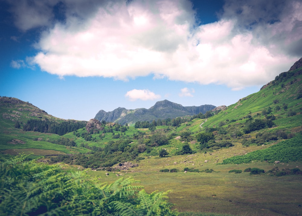 a landscape with hills and trees