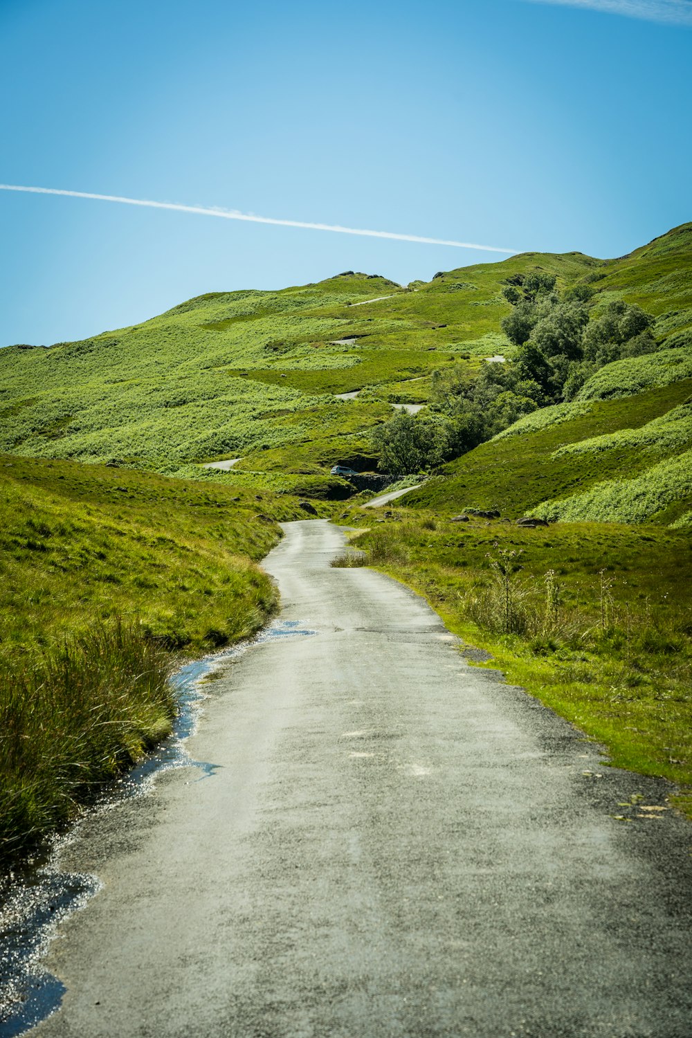 a dirt road in a grassy area