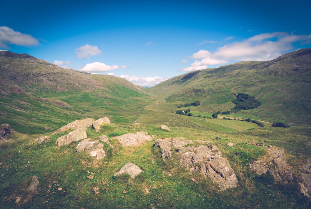 a grassy hill with rocks