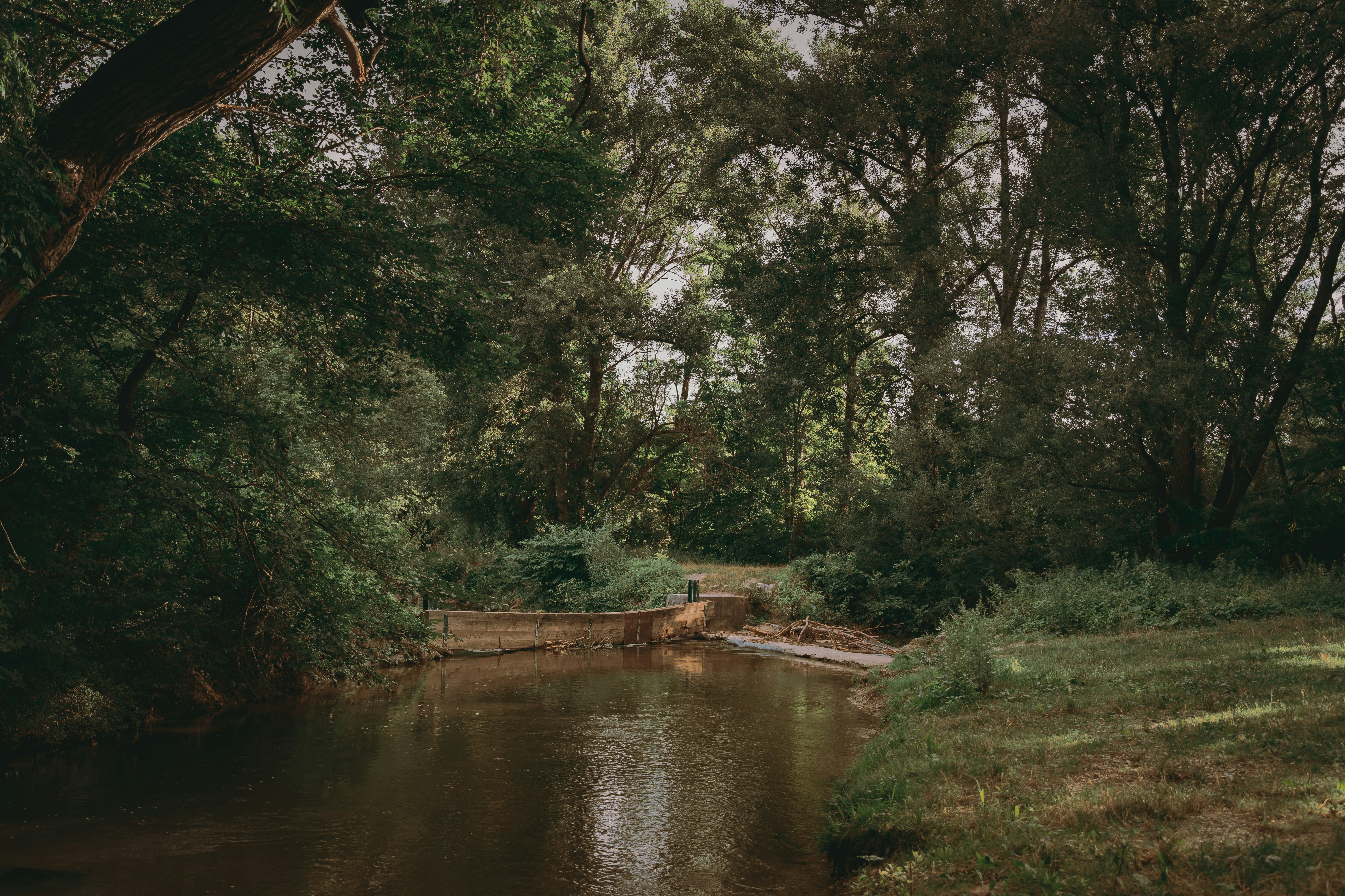 Photo by pino_rumbero