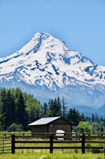 A snow-capped mountain rises majestically under a clear blue sky. In the foreground, there is a small wooden building with a metal roof set amidst lush greenery and surrounded by a wooden fence. Tall evergreen trees are visible around the building, adding to the serene and natural setting.