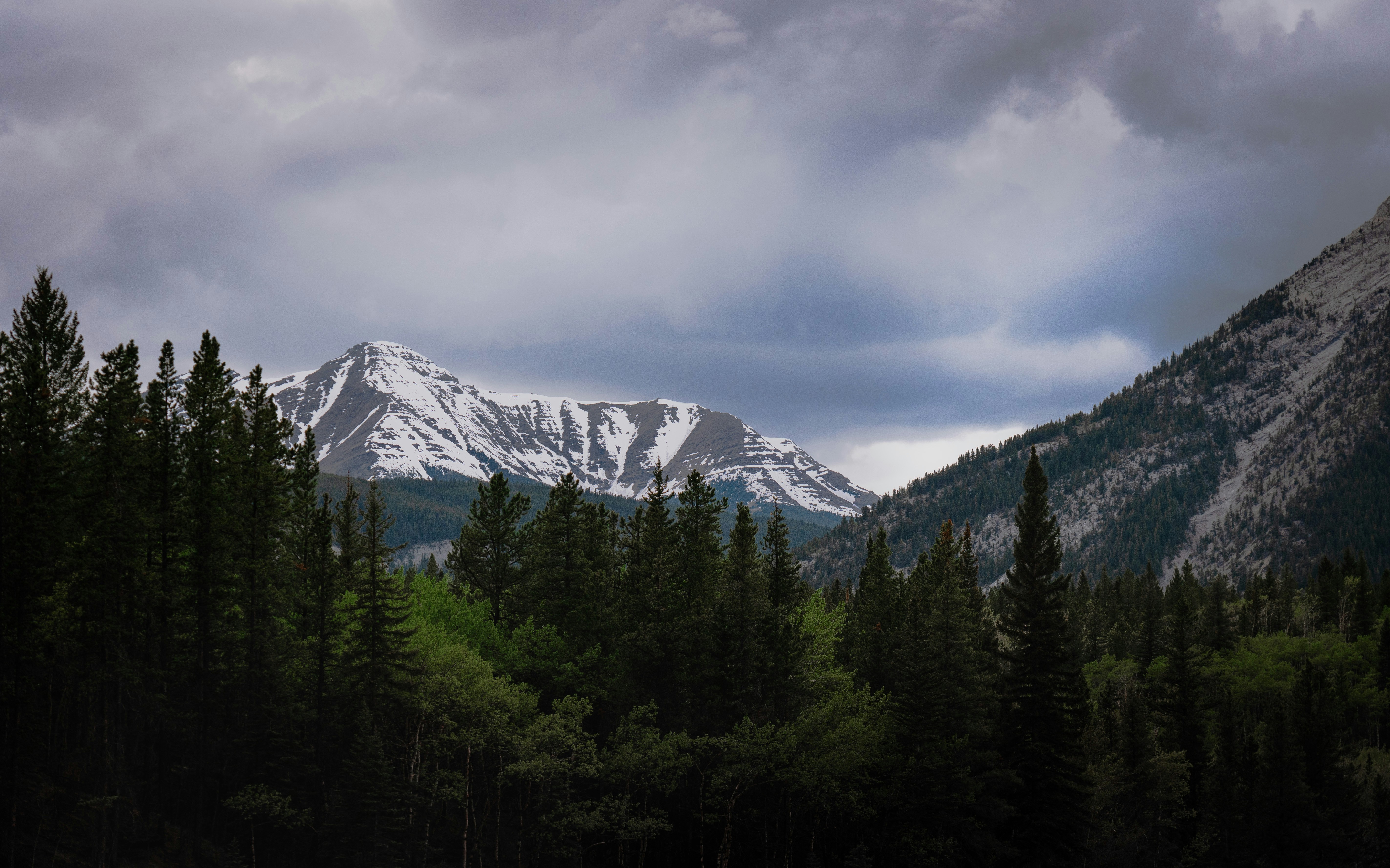 Photo by tfrankcreations