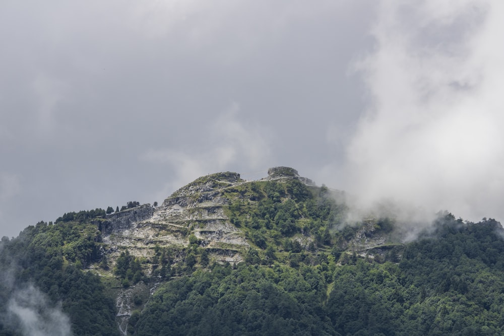 a mountain with trees on it