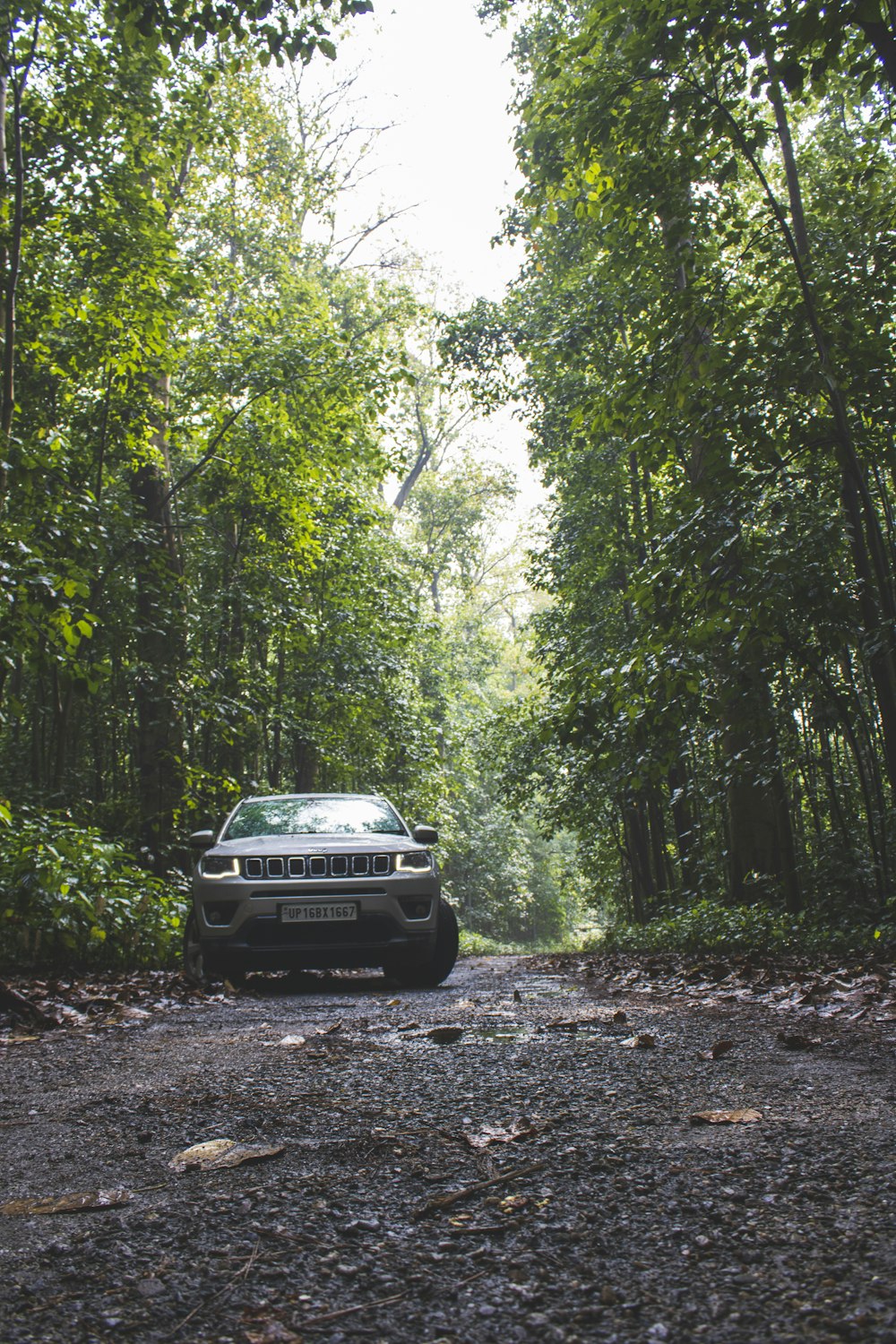 a car parked in a wooded area