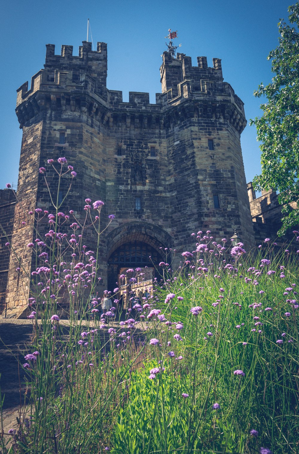 a castle with a garden in front of it