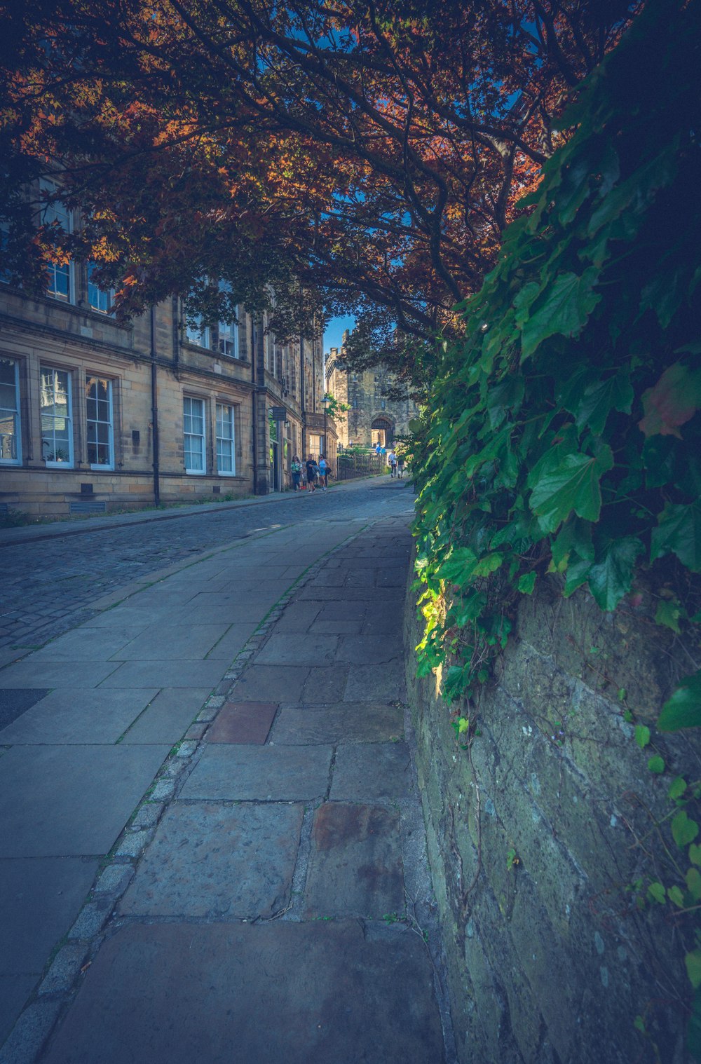 a sidewalk with a brick wall and trees on the side