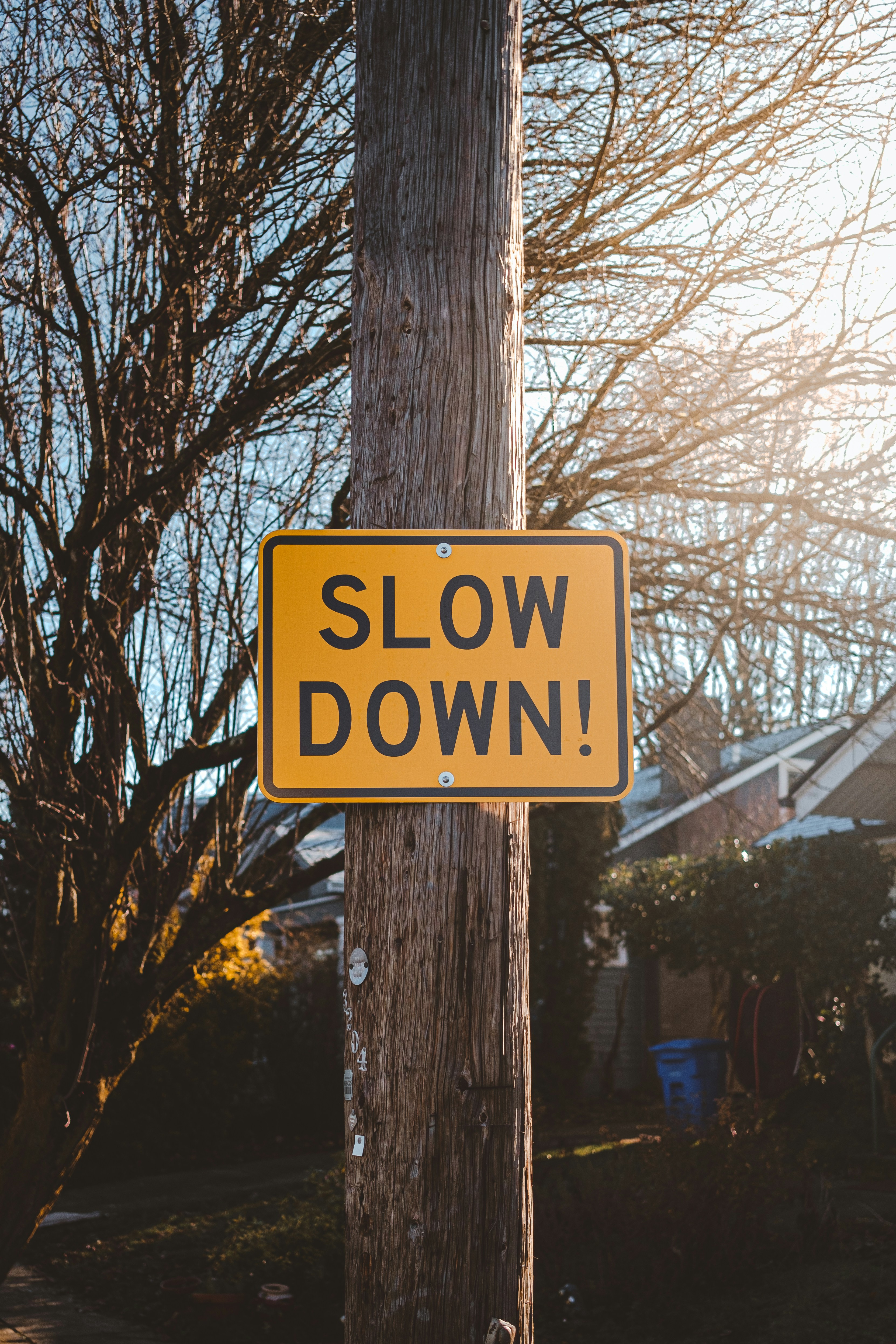 a yellow sign on a tree
