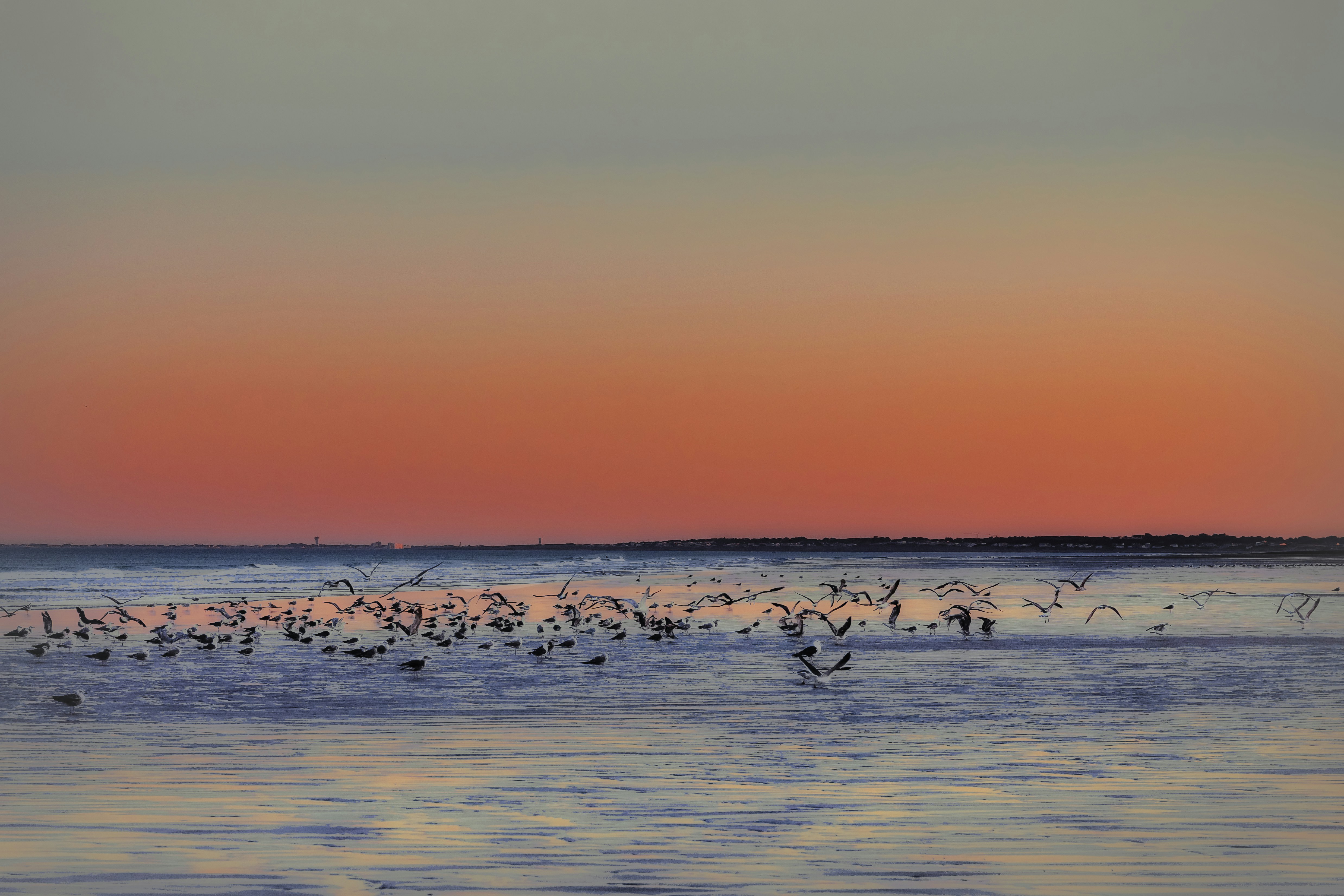 Photo by arizonanthony