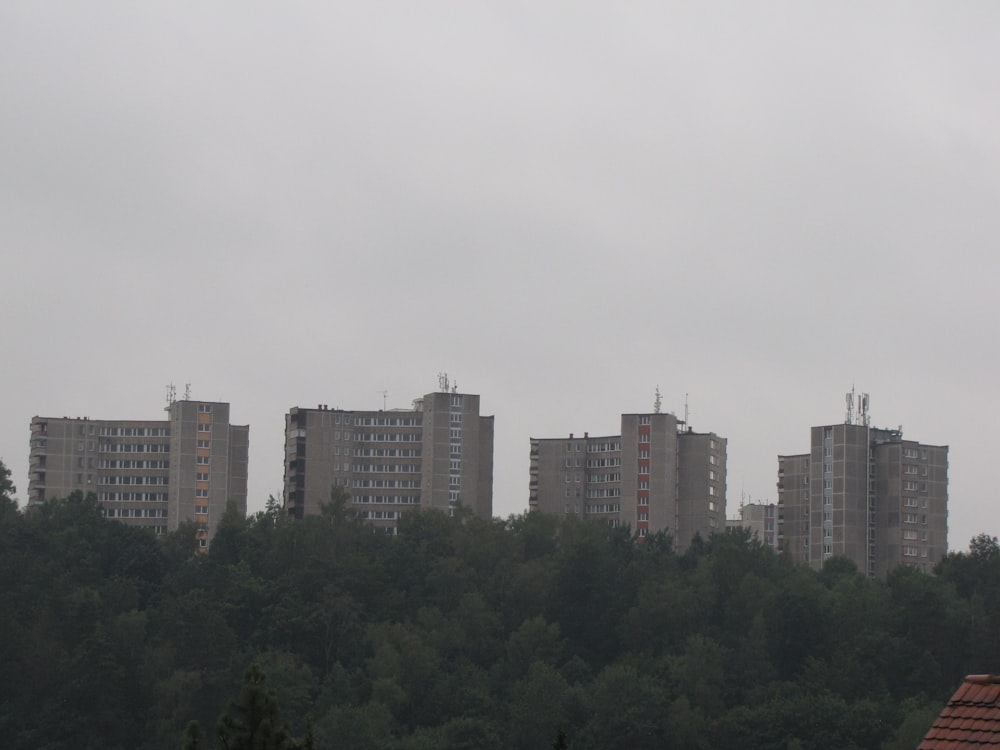 a group of buildings behind trees
