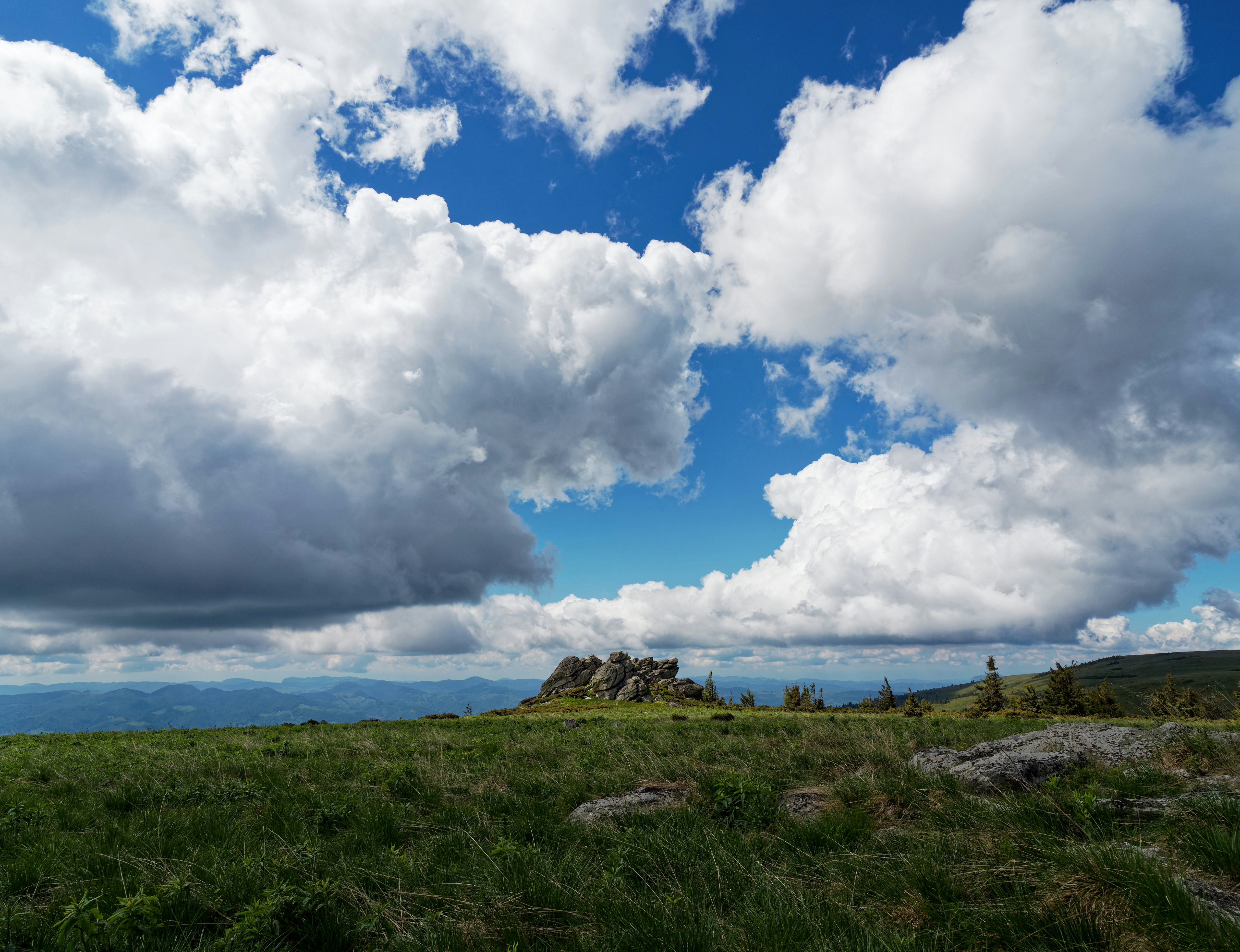 Photo by illes_cristi