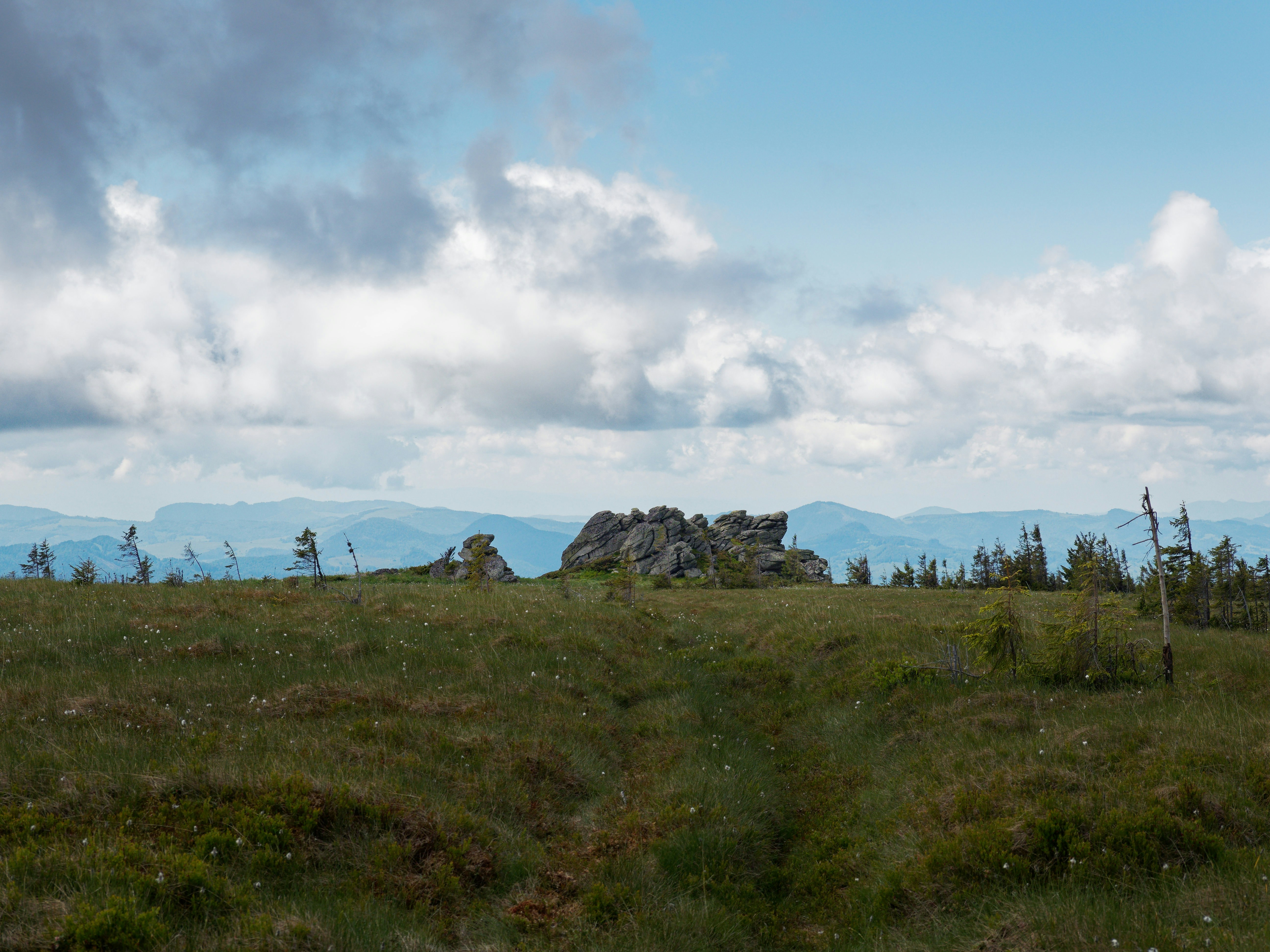 Photo by illes_cristi