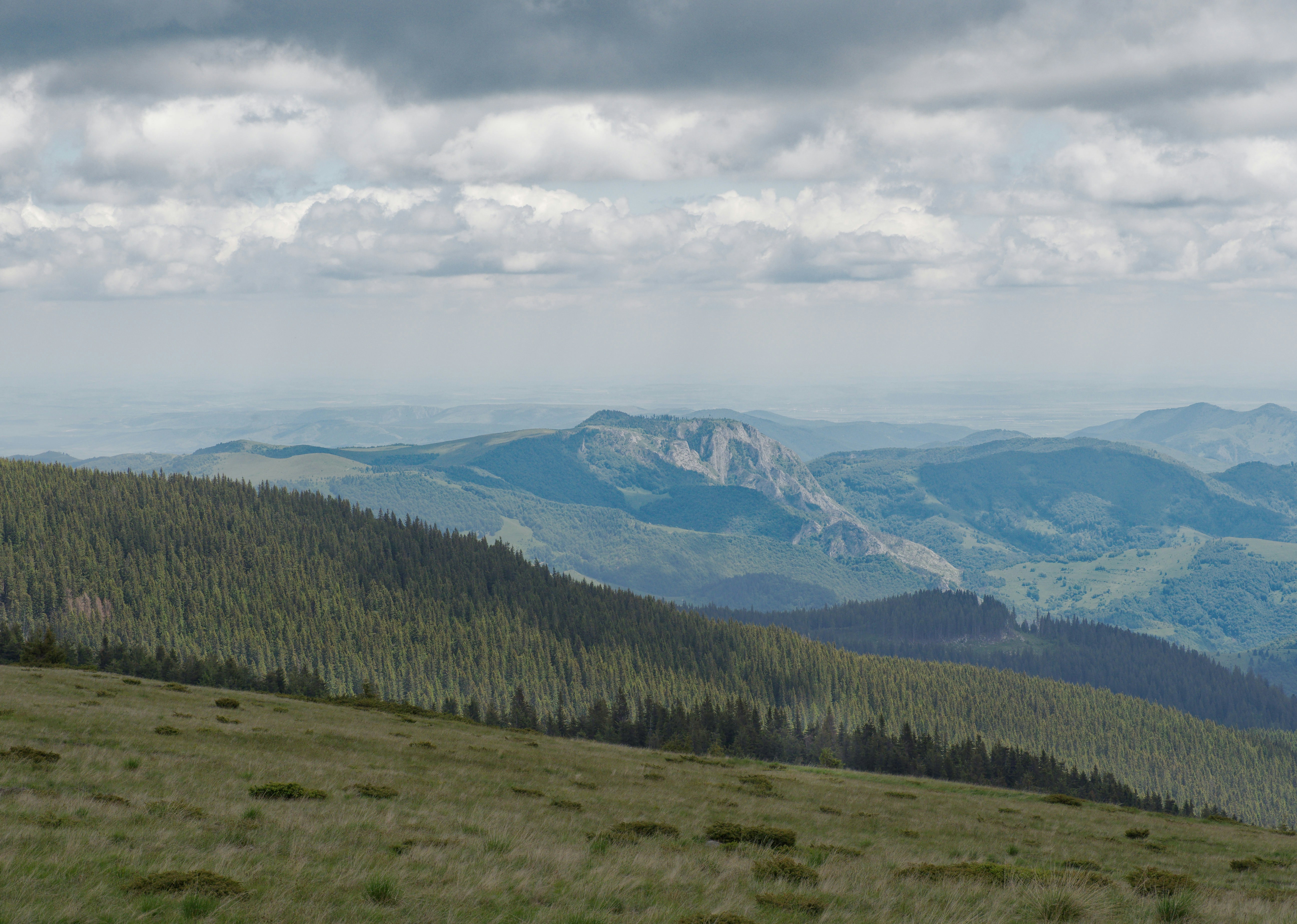 Photo by illes_cristi