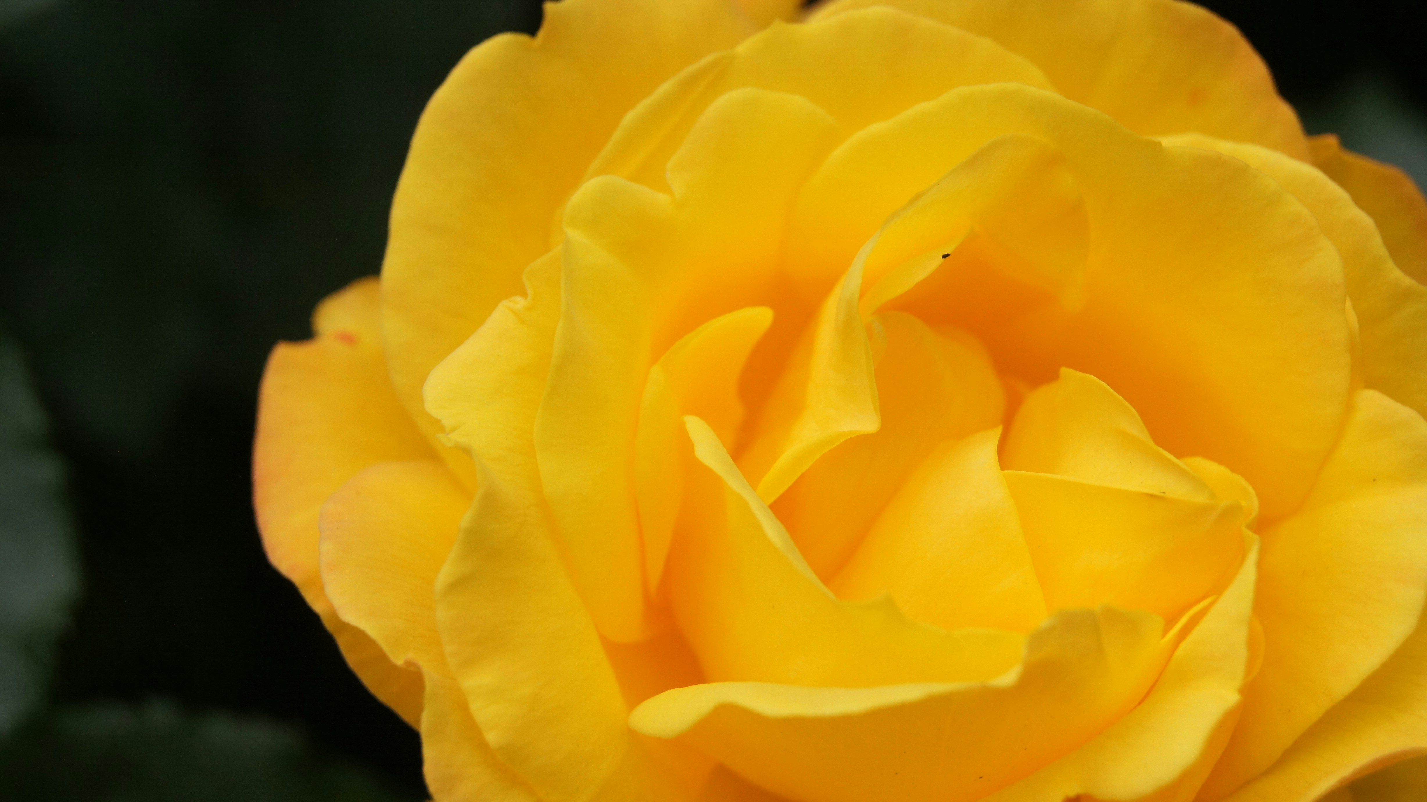 Photo by prophet2018