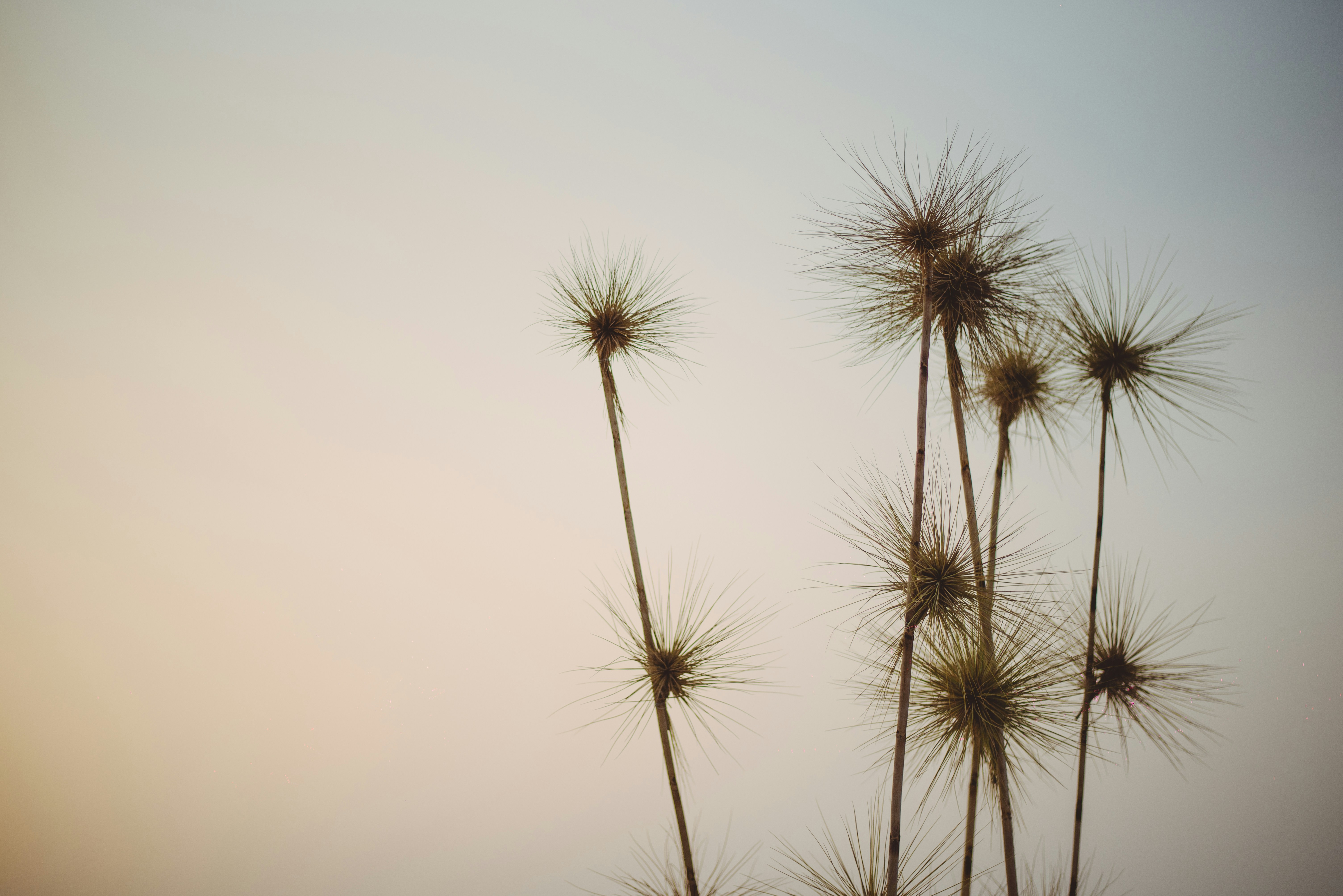 Photo by meliston_pinto