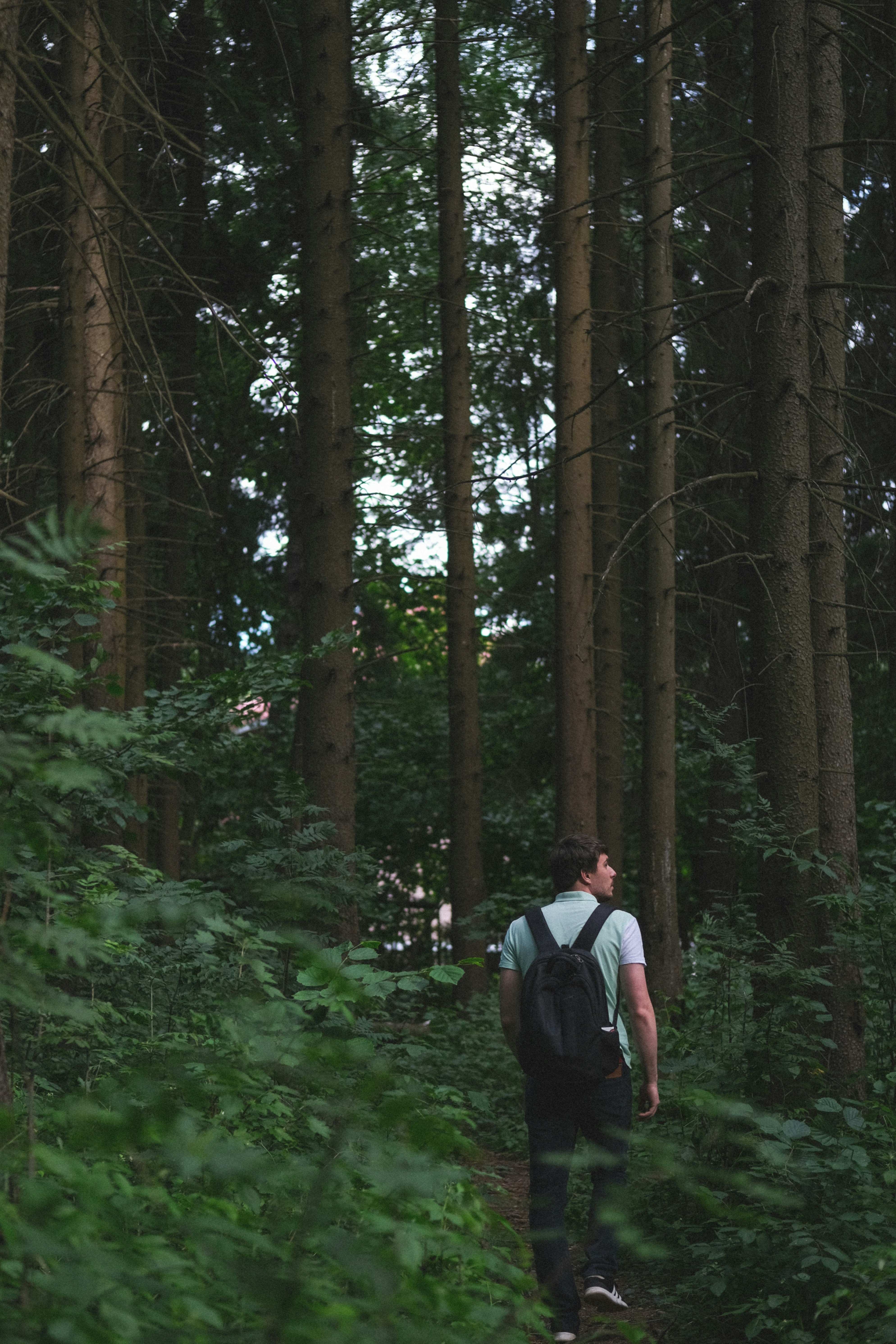 Photo by rolig_basseng