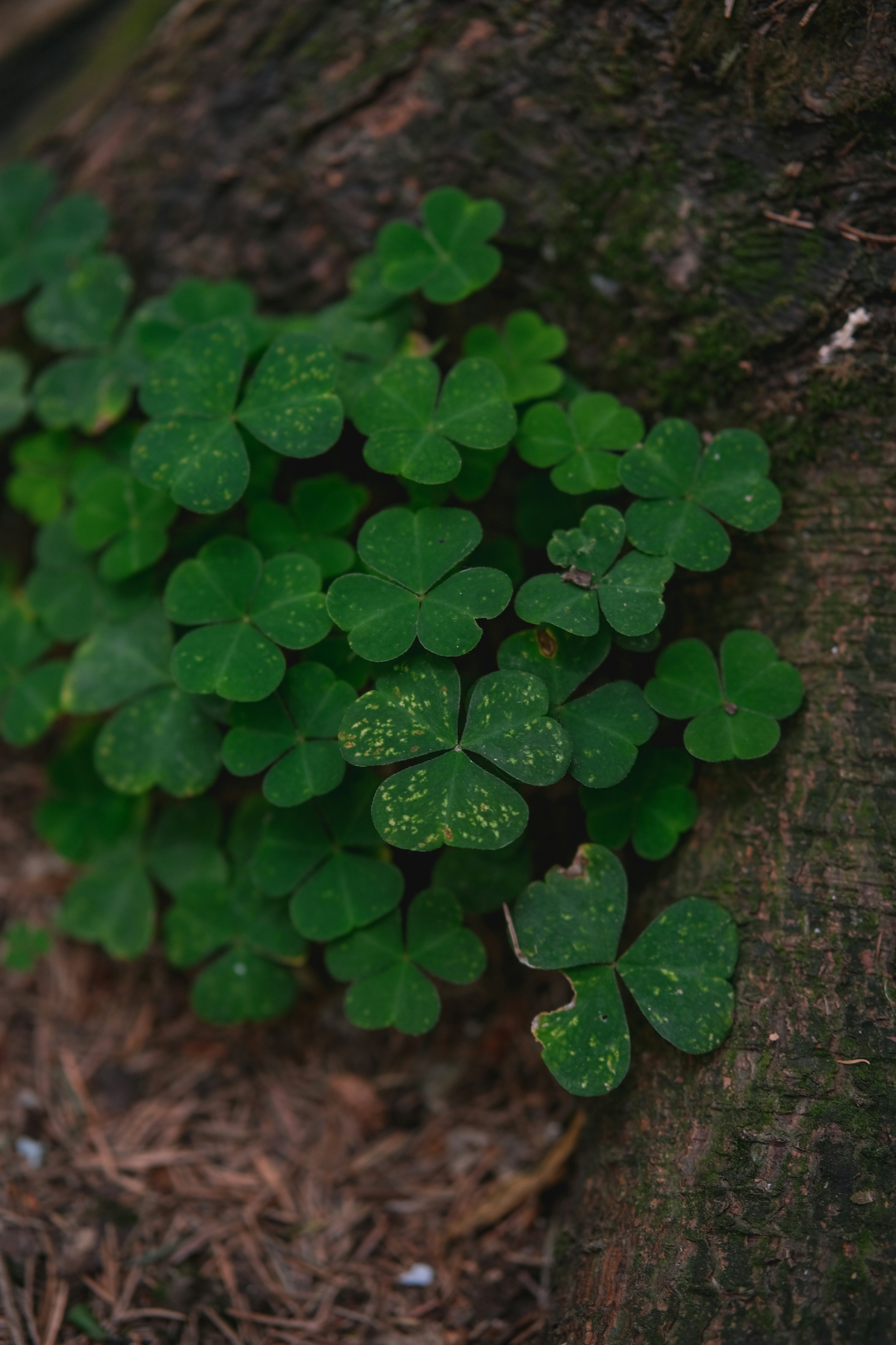 Photo by rolig_basseng