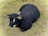 A black lamb with white markings on its face rests on a patch of green grass. The lamb appears fluffy and is positioned in a relaxed manner.