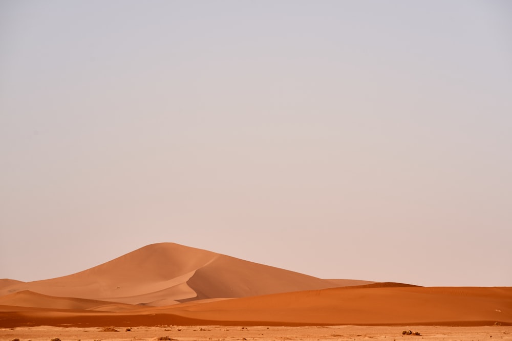 a desert landscape with sand dunes