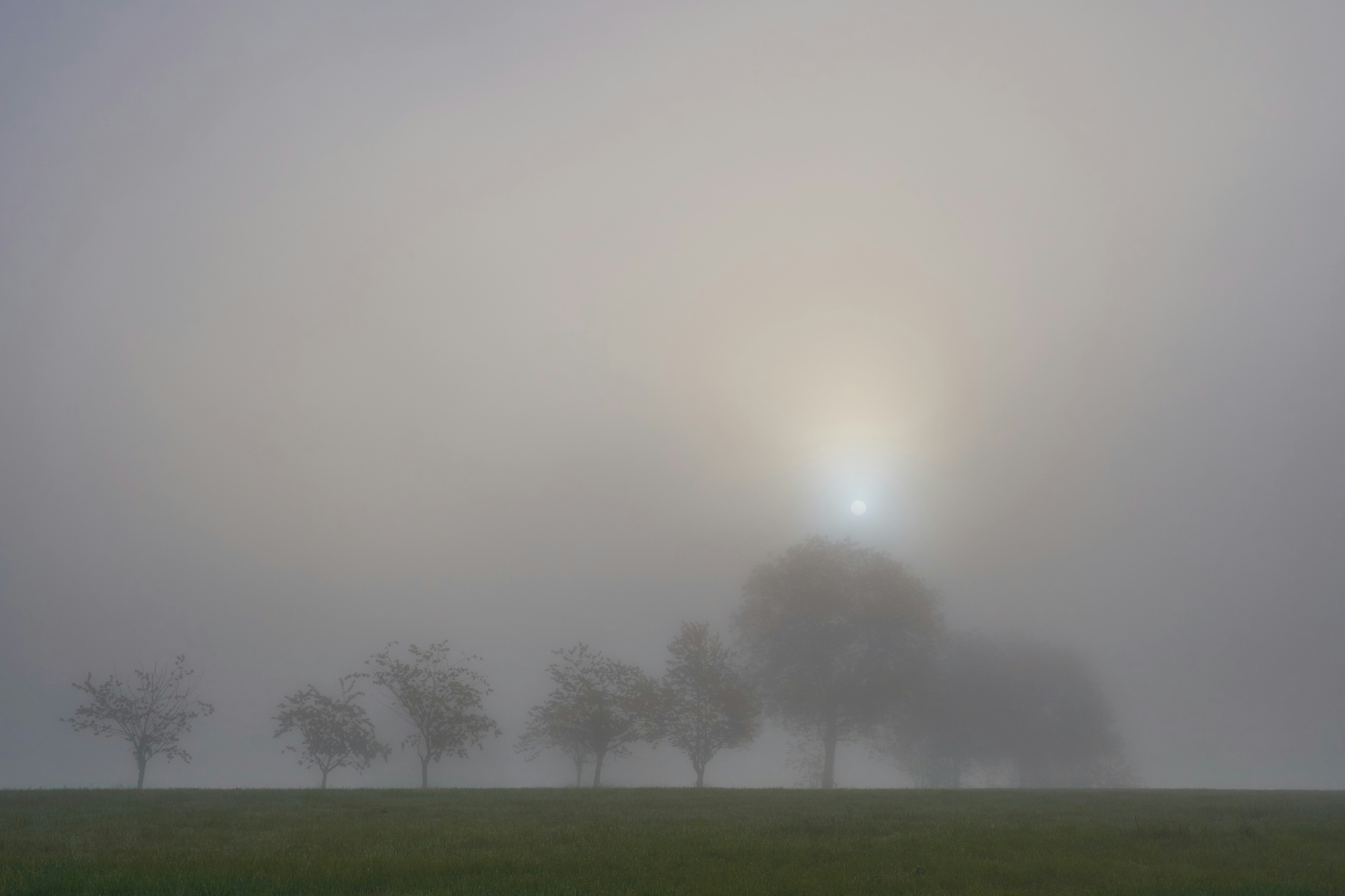 Photo by wolfgang_hasselmann