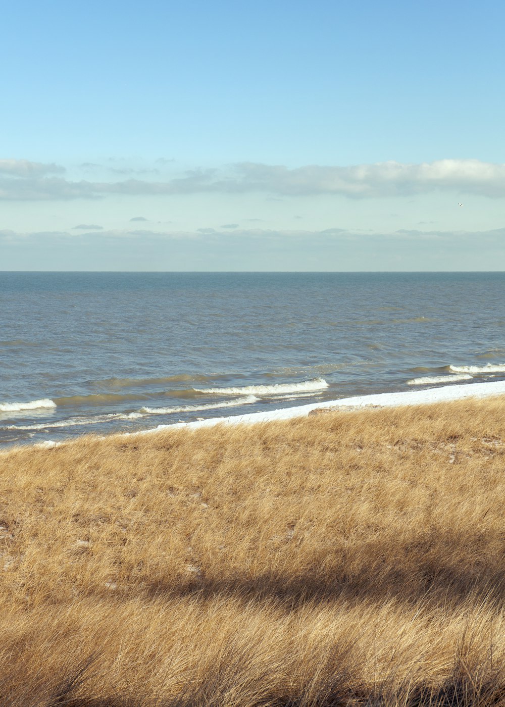 a grassy area next to a body of water