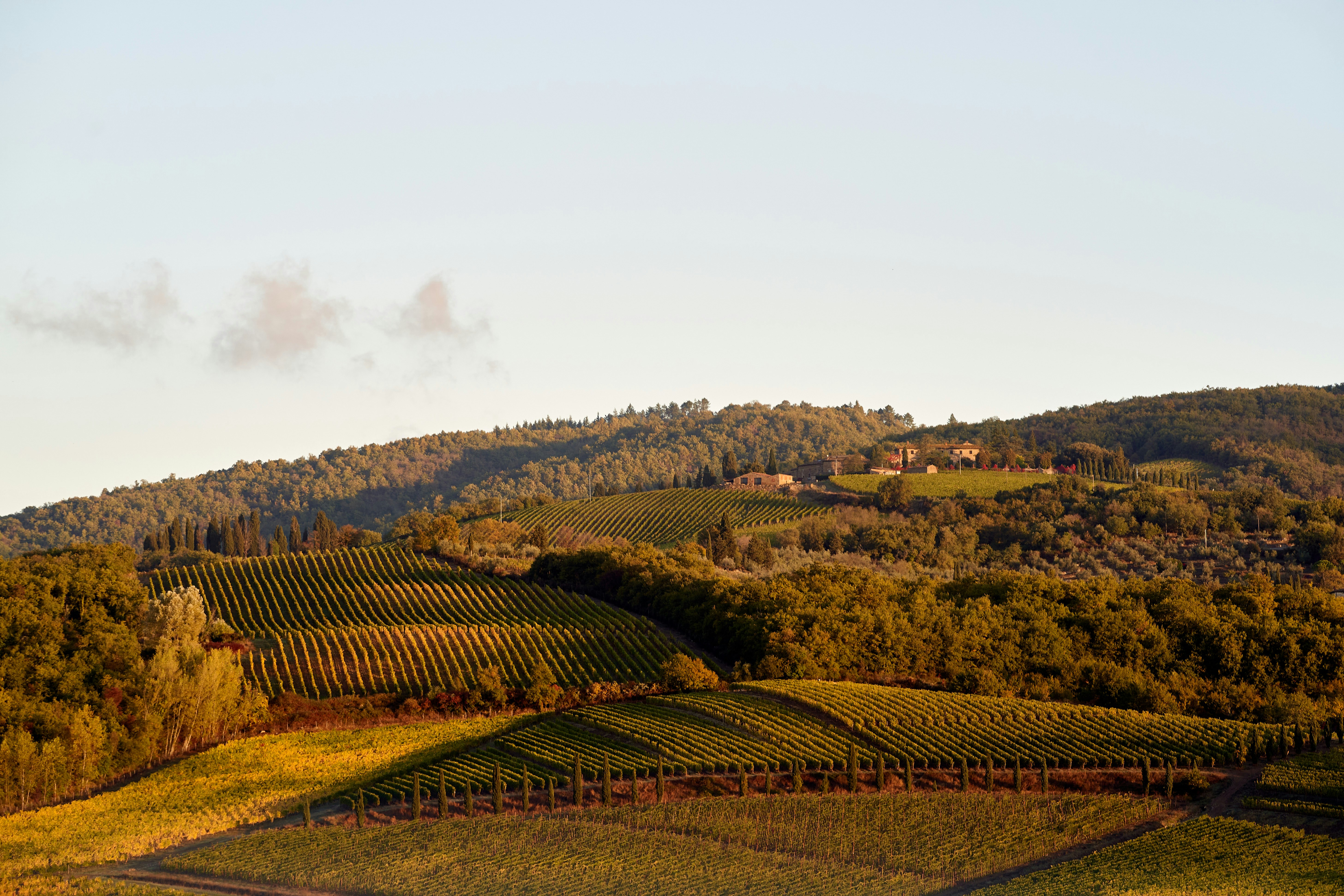 Photo by wolfgang_hasselmann