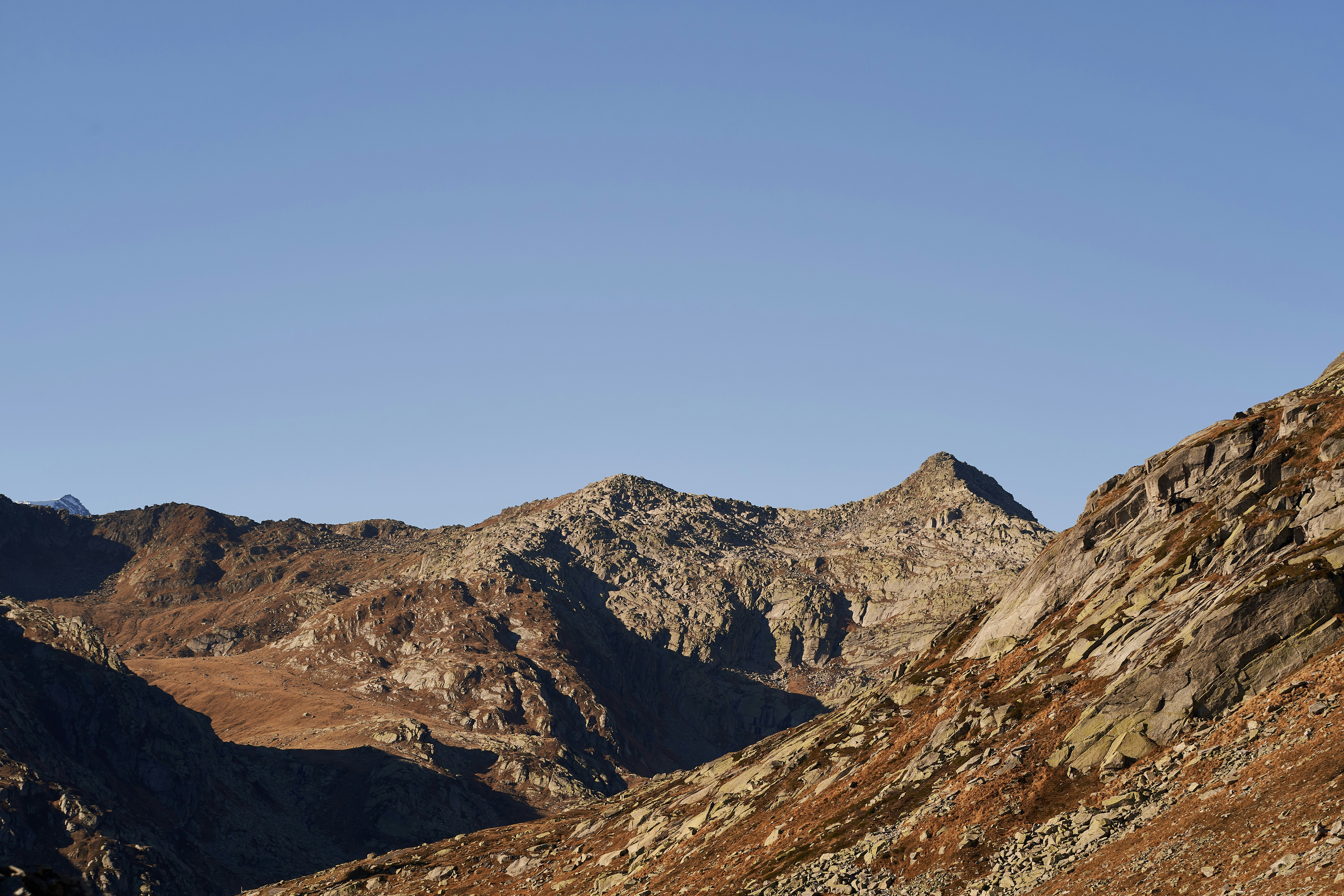 Photo by wolfgang_hasselmann