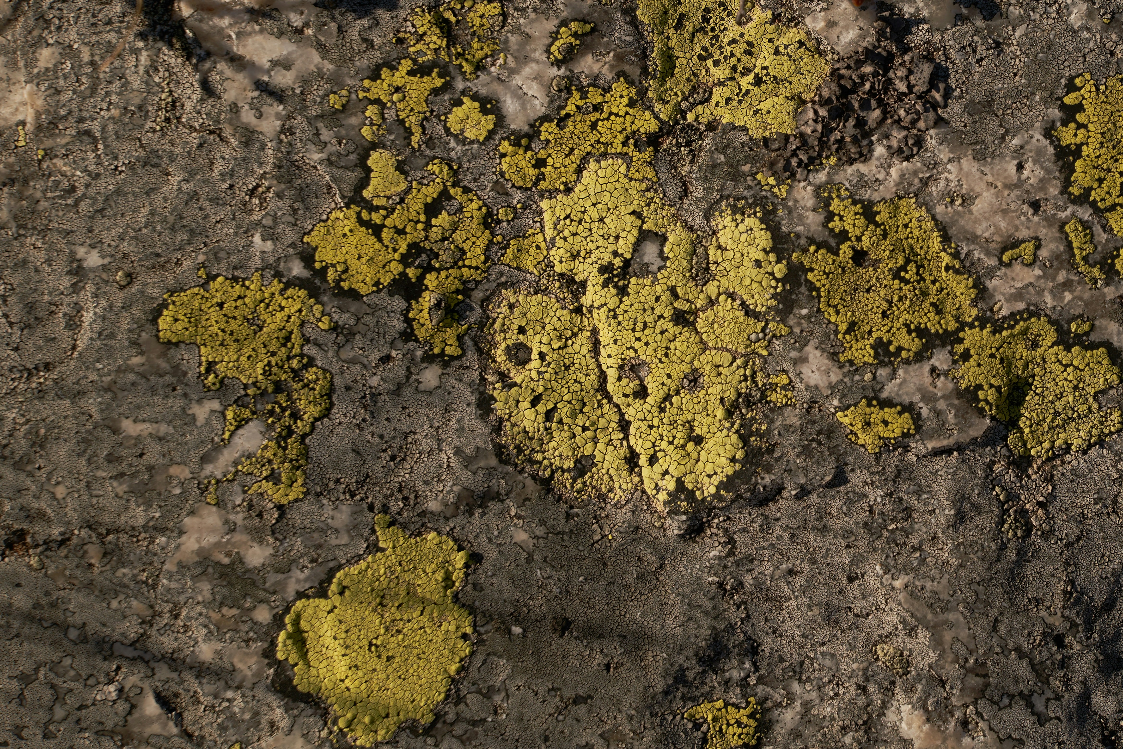 Uranium: de ommekeer is ingezet