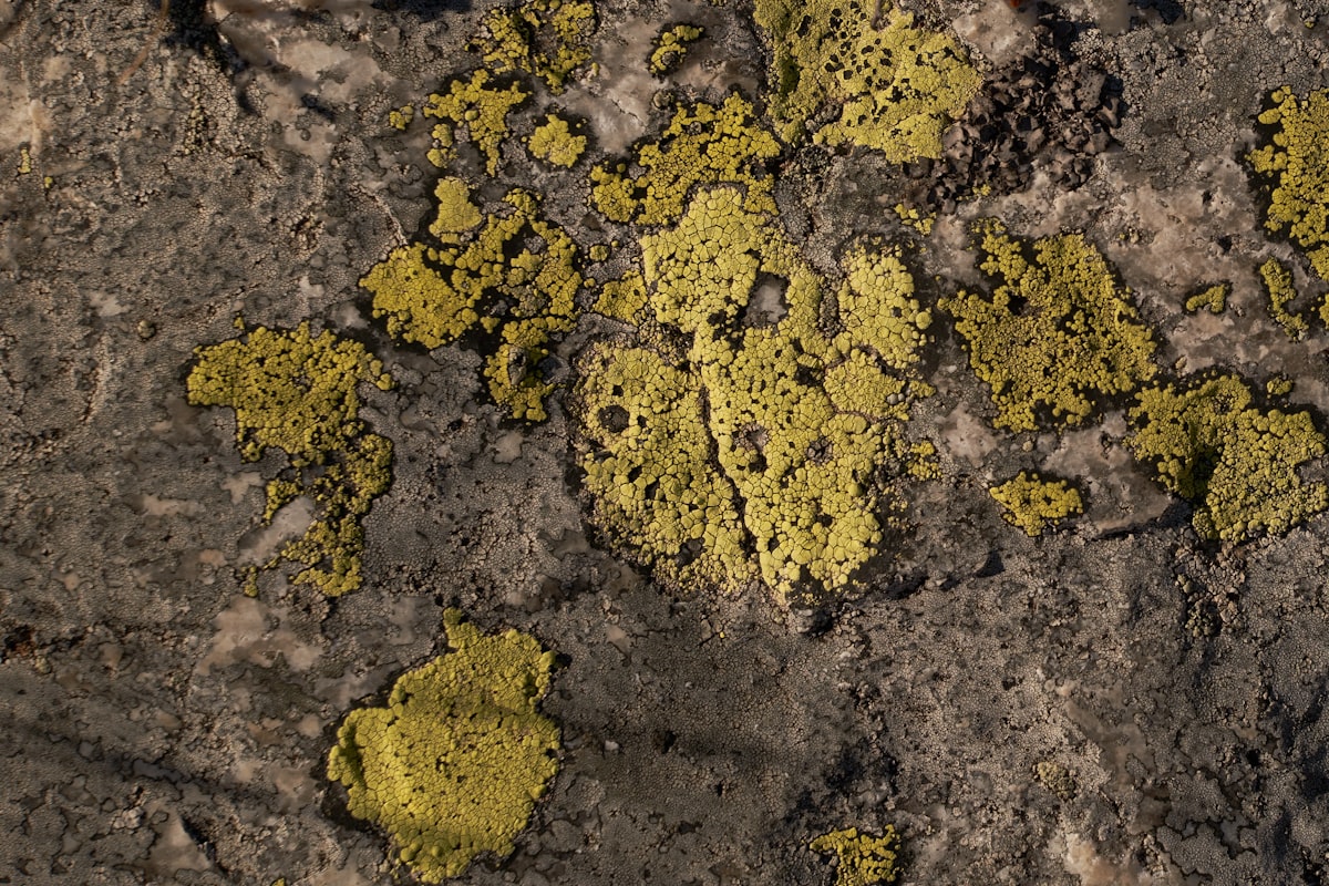 Rethinking Nuclear Waste: How the Circular Fuel Cycle Is Transforming Energy's Future