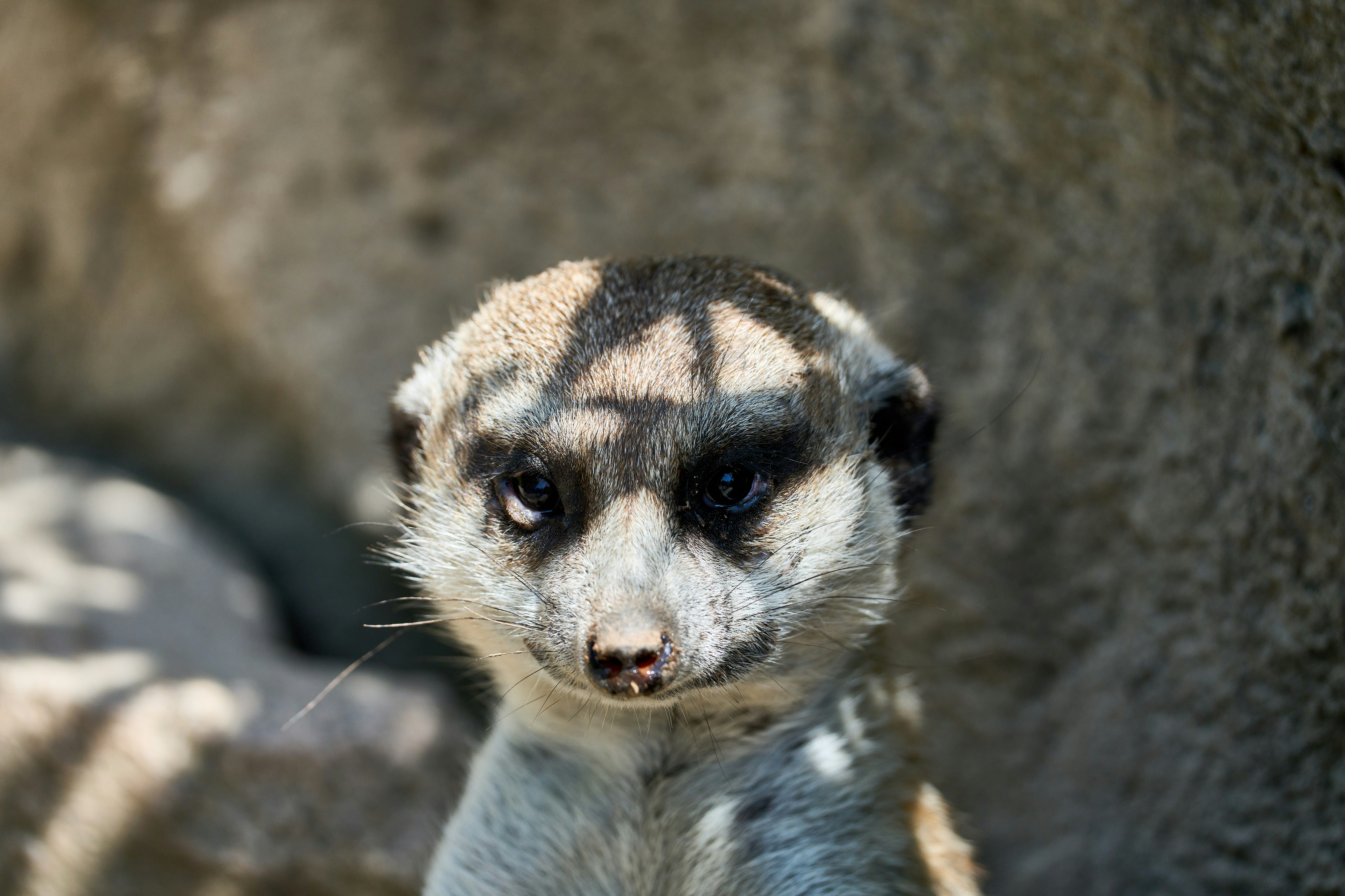 Photo by wolfgang_hasselmann