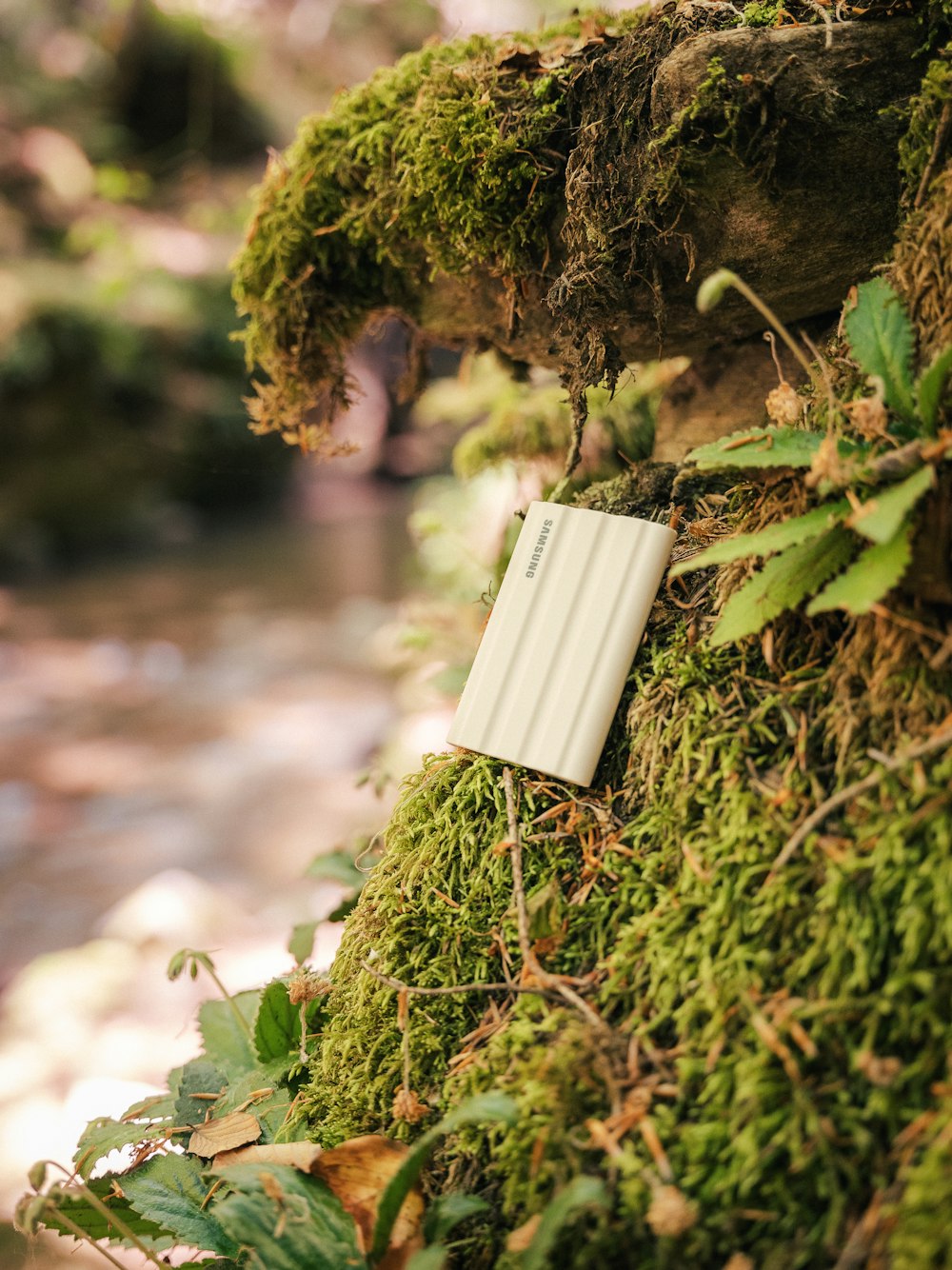 a white card on a tree