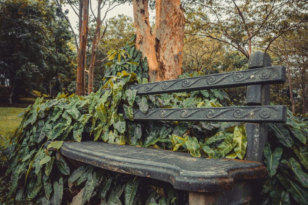 a bench in a park