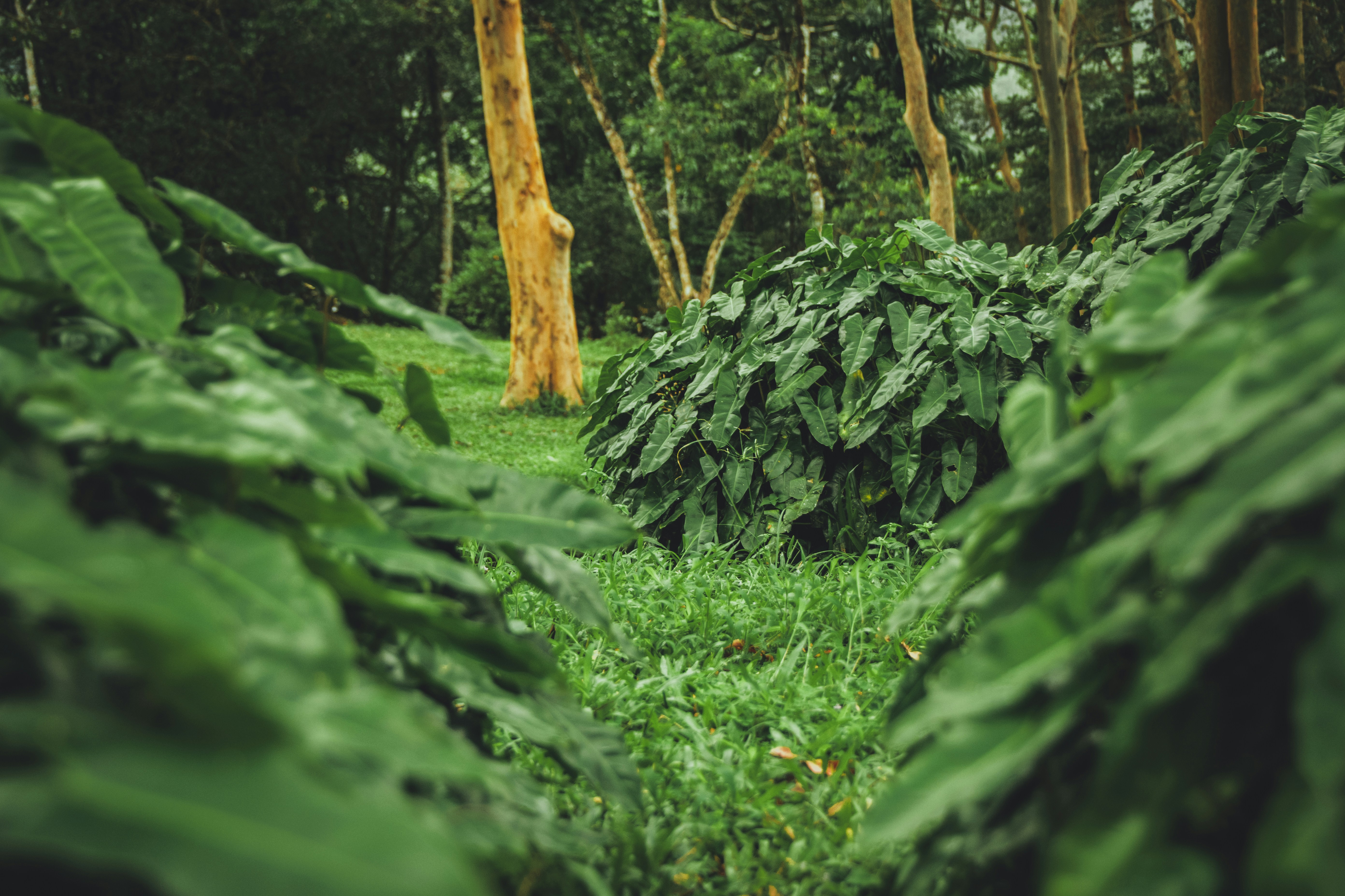 Photo by nilankakariyawasam