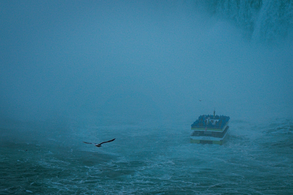 a bird flying over a boat