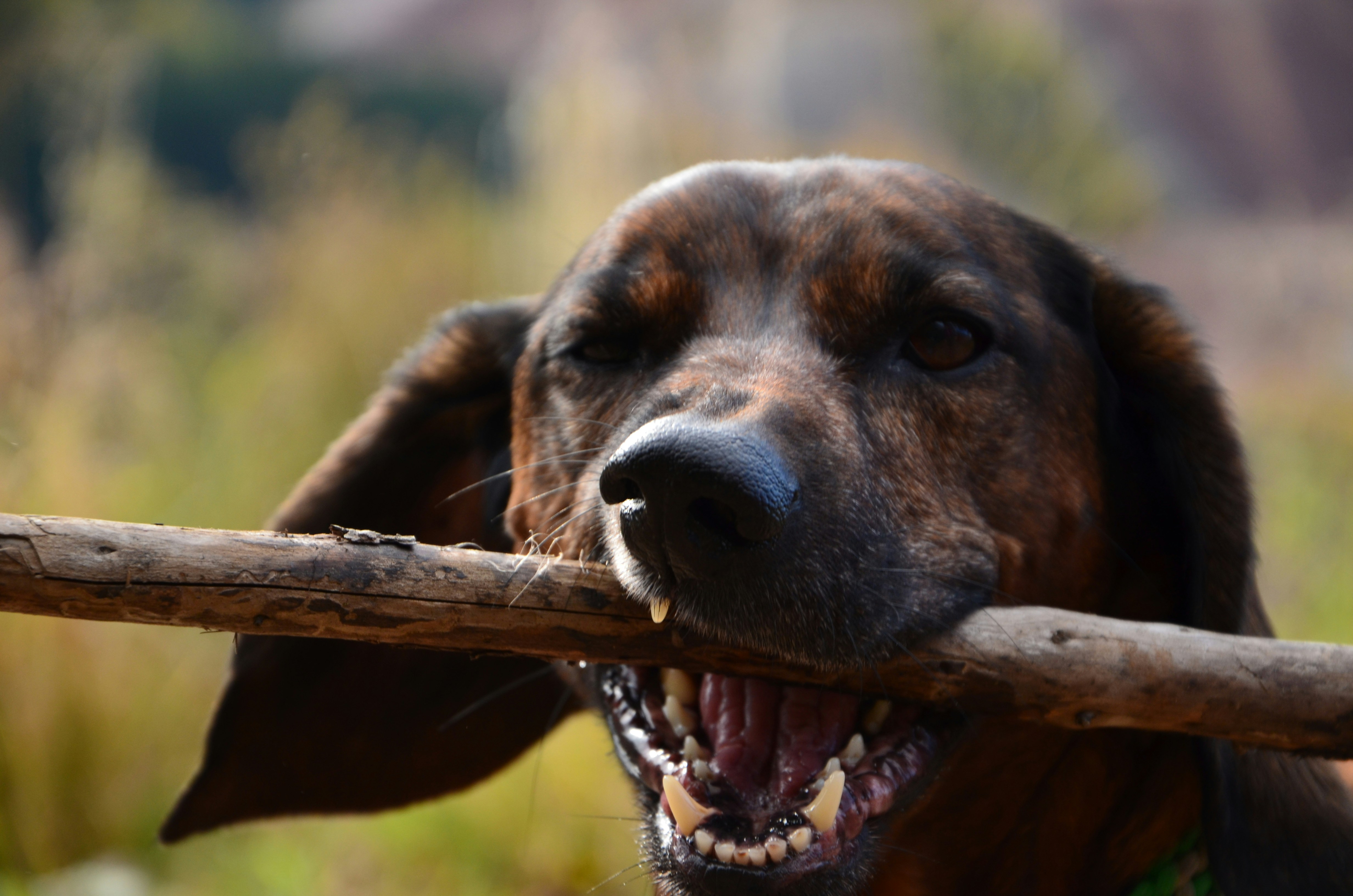 Photo by tanja_likes_taking_pictures