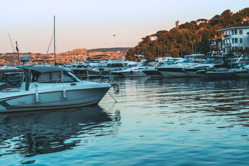 boats parked in water