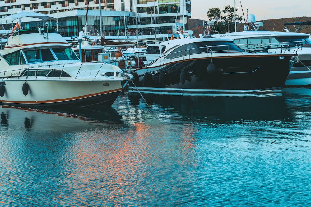 boats docked in water