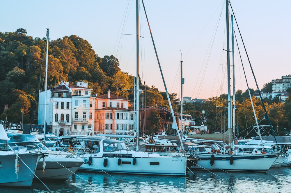 a group of boats in a harbor