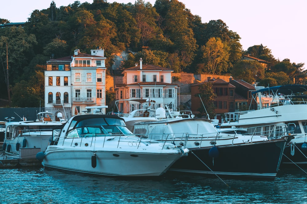 boats docked in water