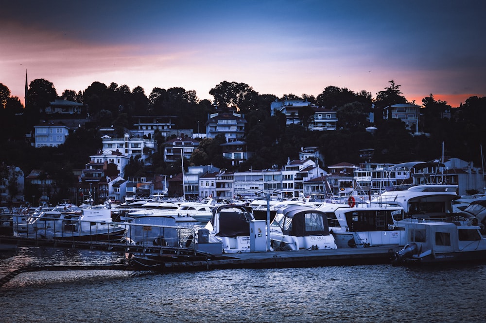 boats parked on the water