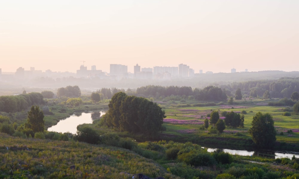 a landscape with trees and a body of water with buildings in the background