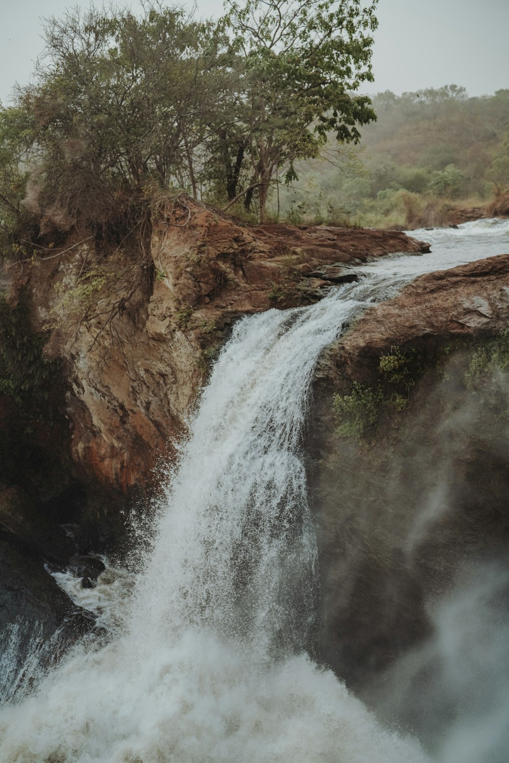 a waterfall with a tree