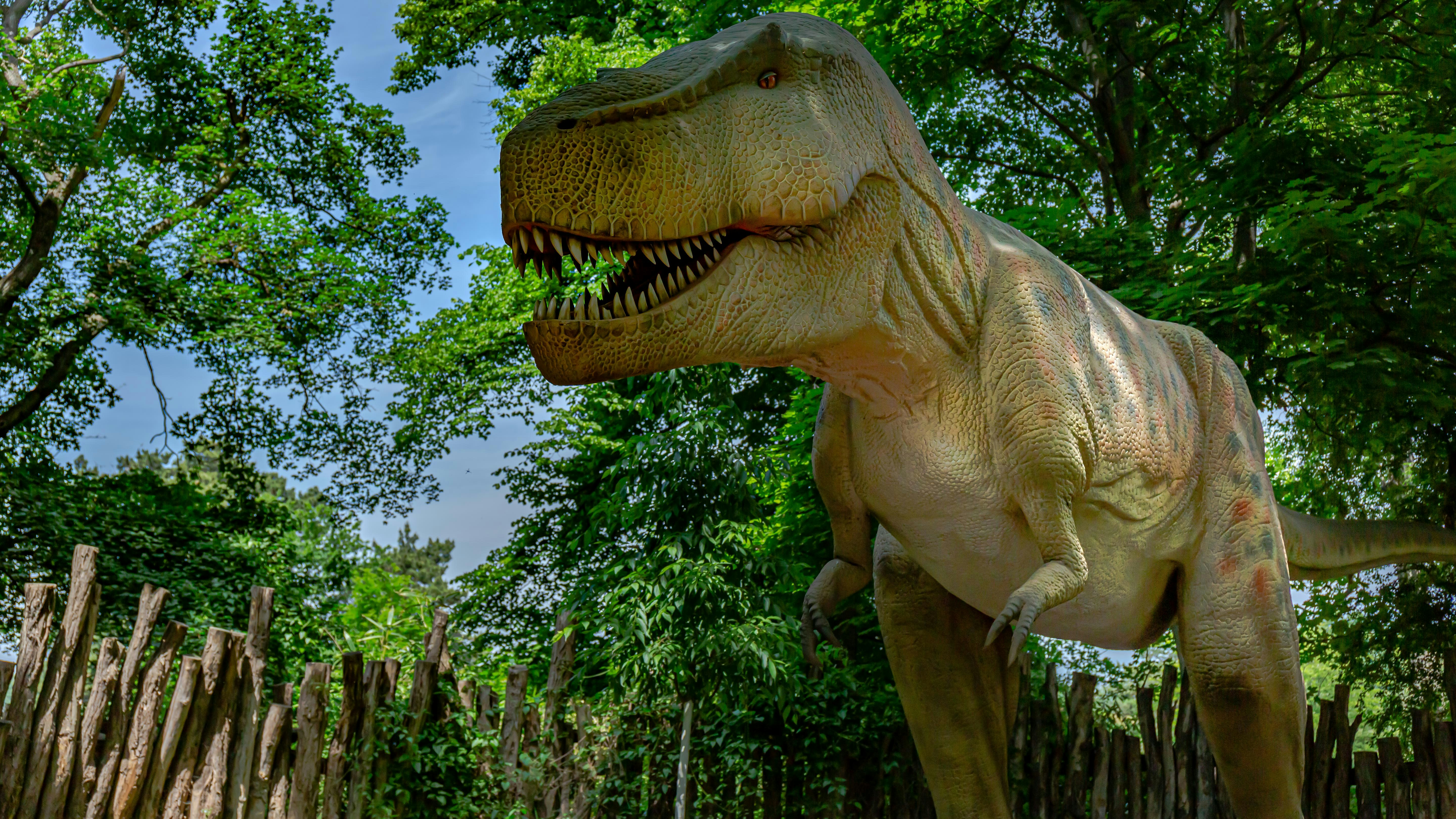 Ein Dinosaurier mit offenem Maul