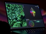 a laptop with a plant on the screen