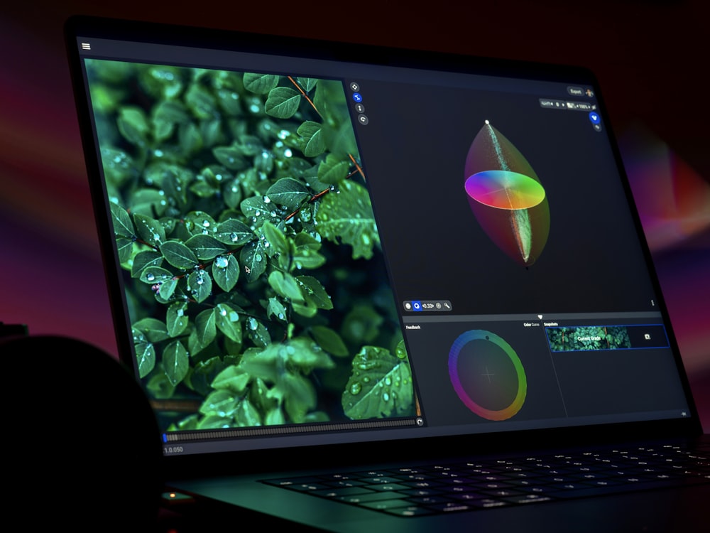 a laptop with a plant on the screen