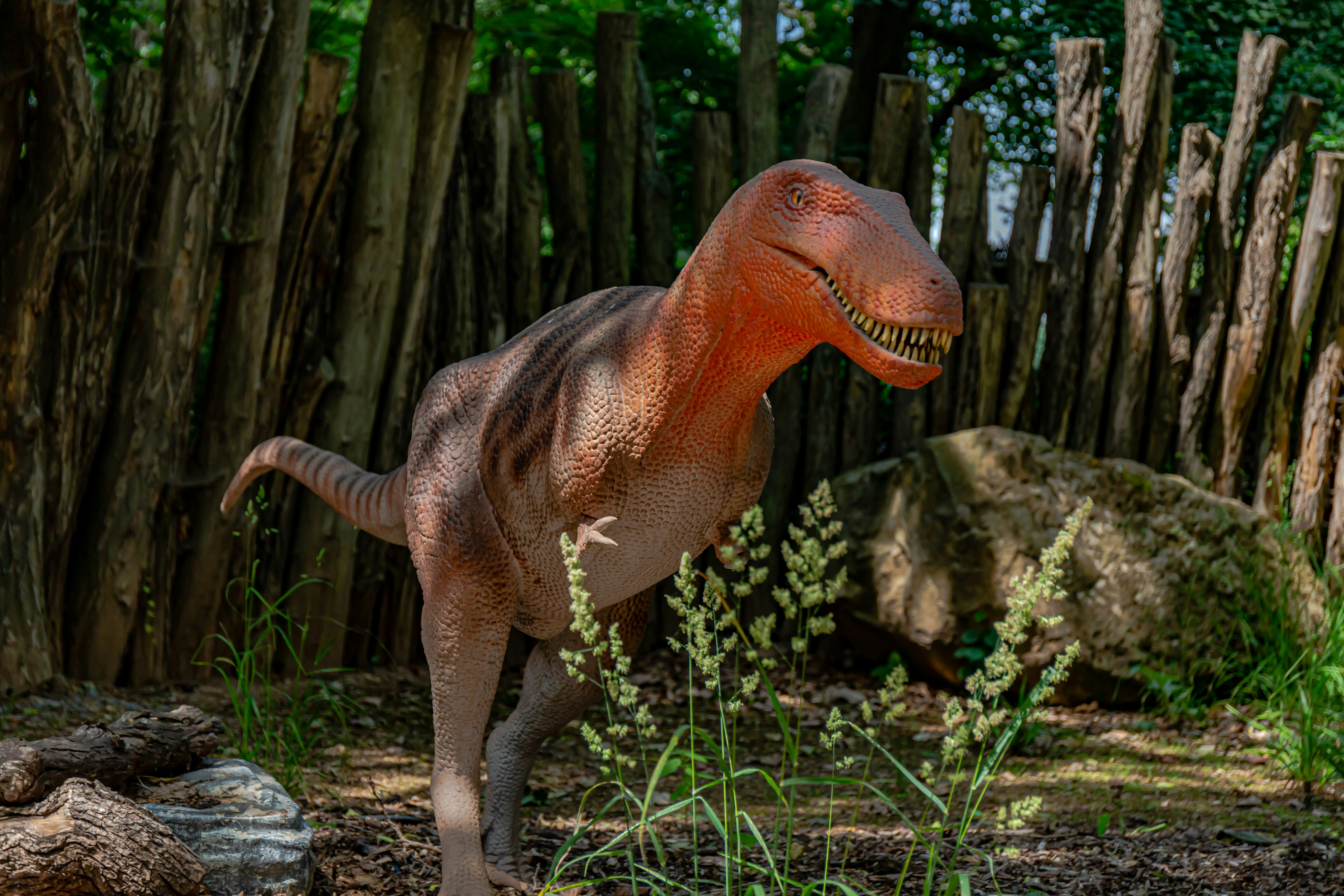 Dr. Alan Grant: The Dinosaur Detective from “Jurassic Park” (image credits: unsplash)