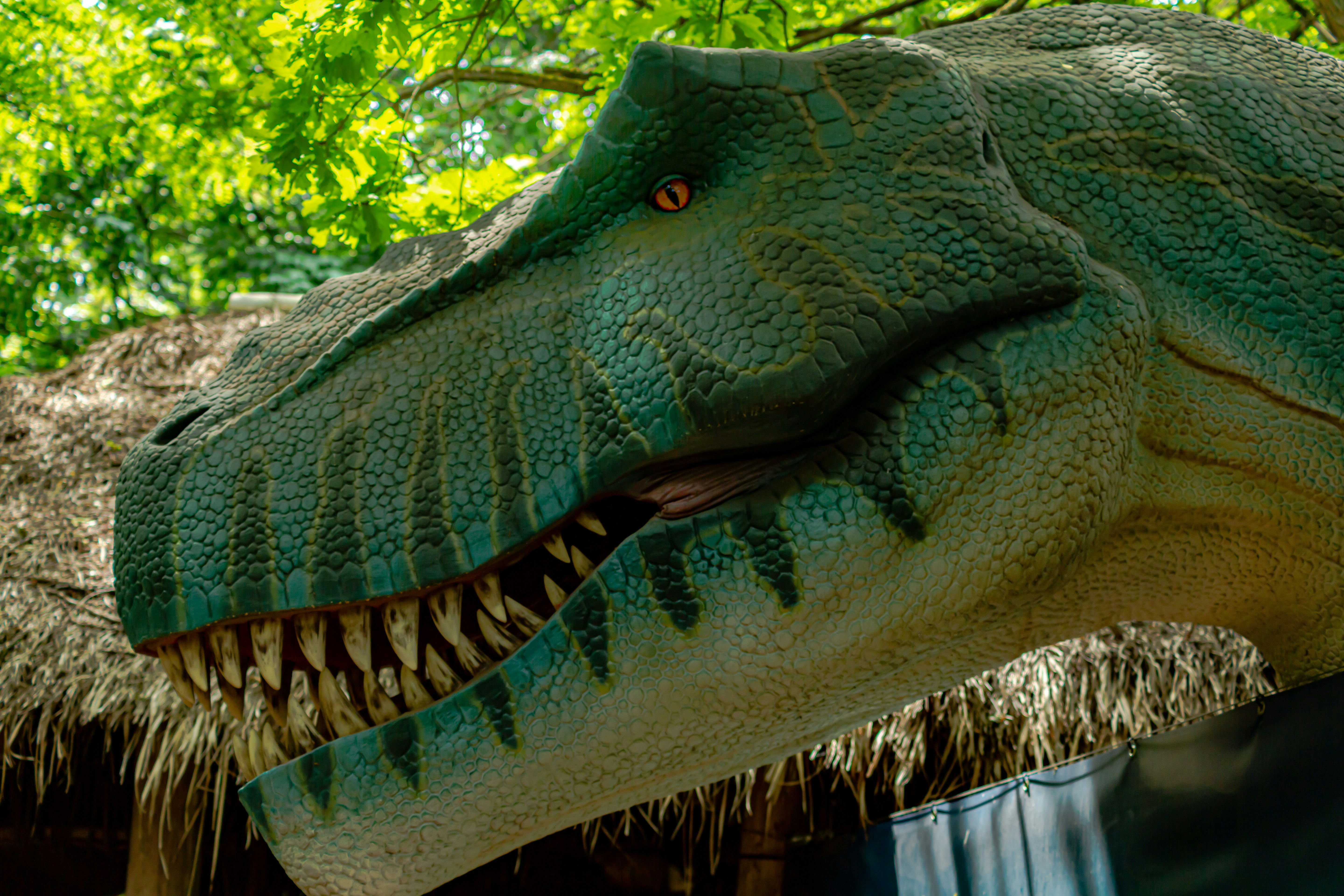 A large green dinosaur photo – Free Leipzig Image on Unsplash