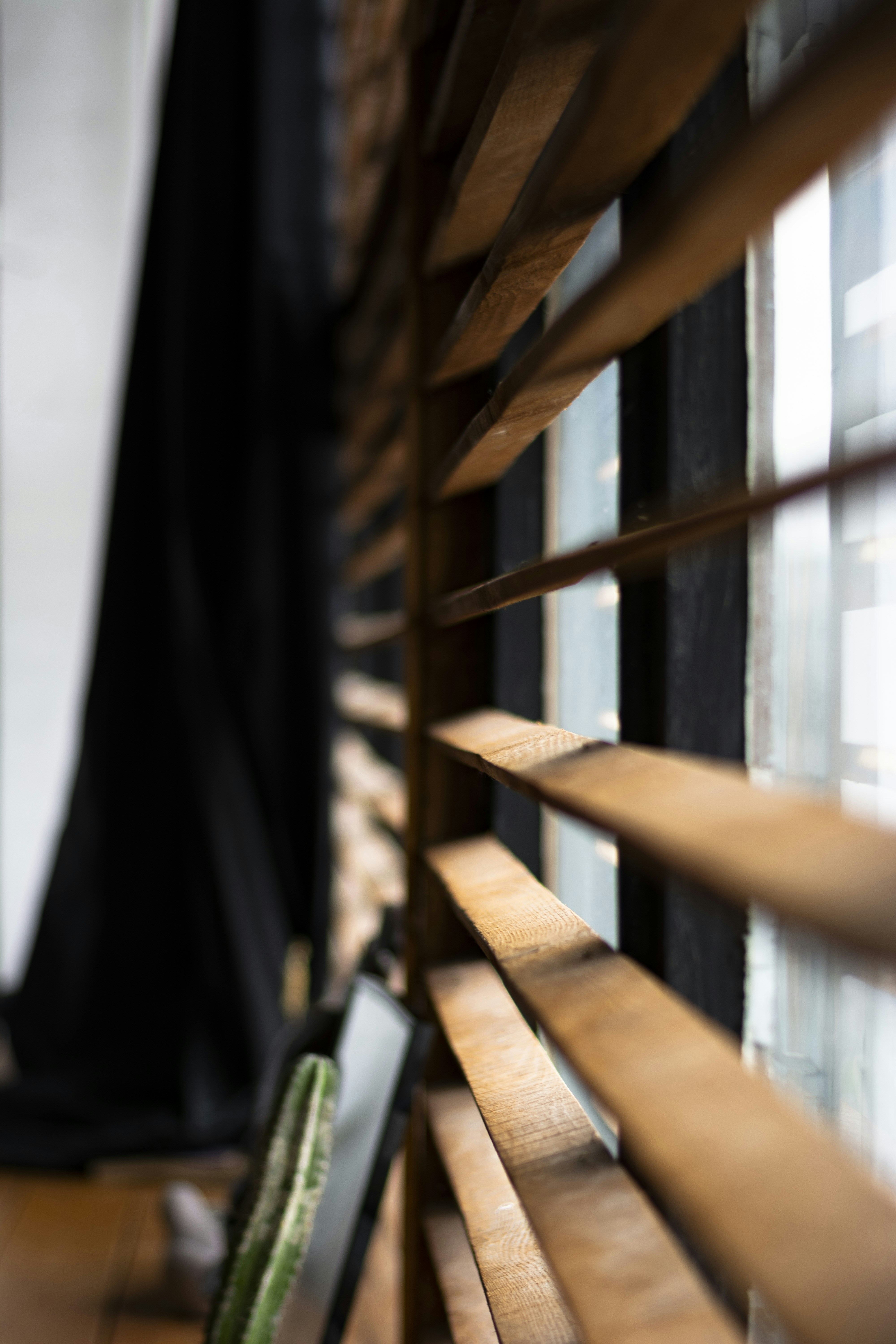 Photo by vadutskevich