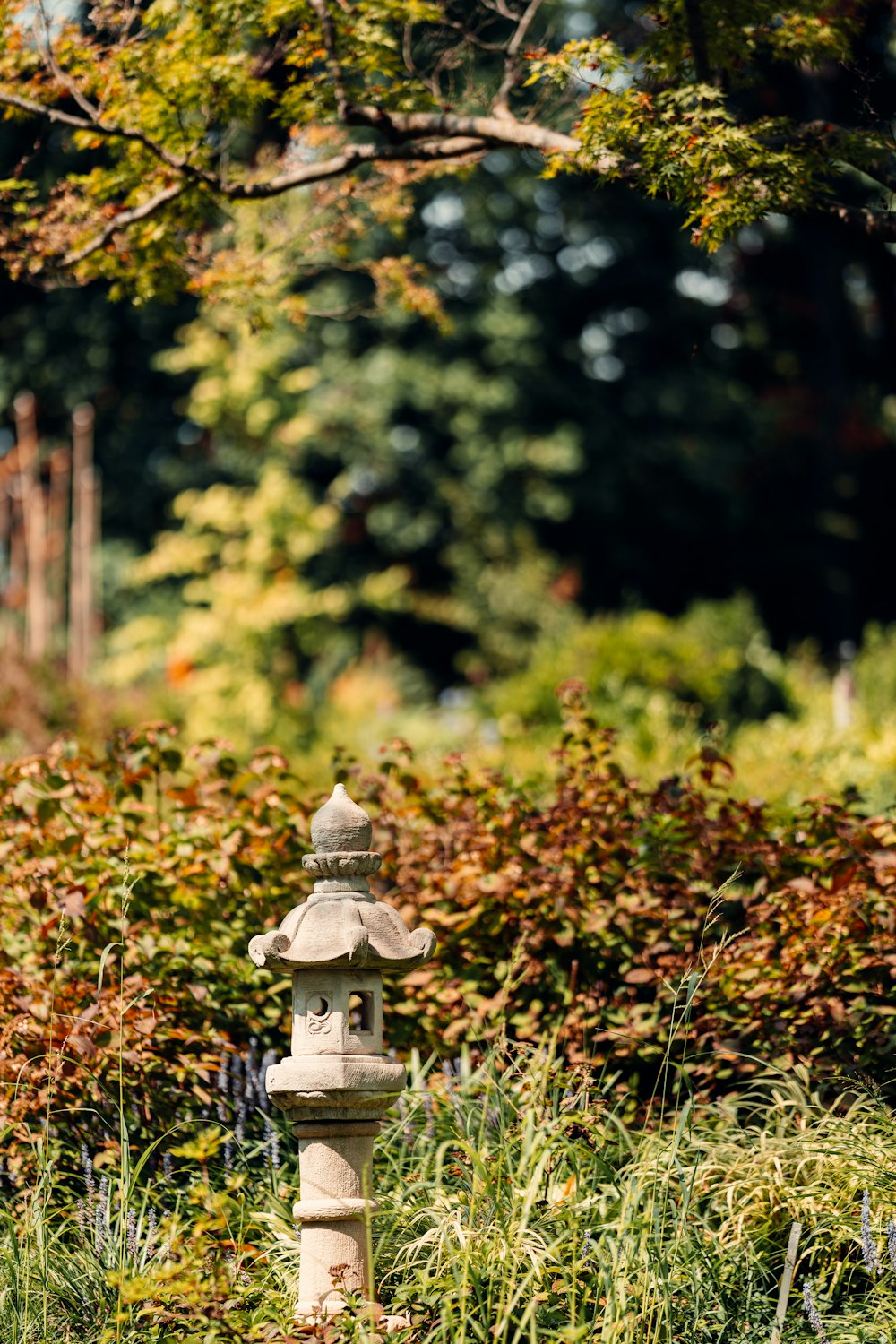 a fire hydrant in a yard