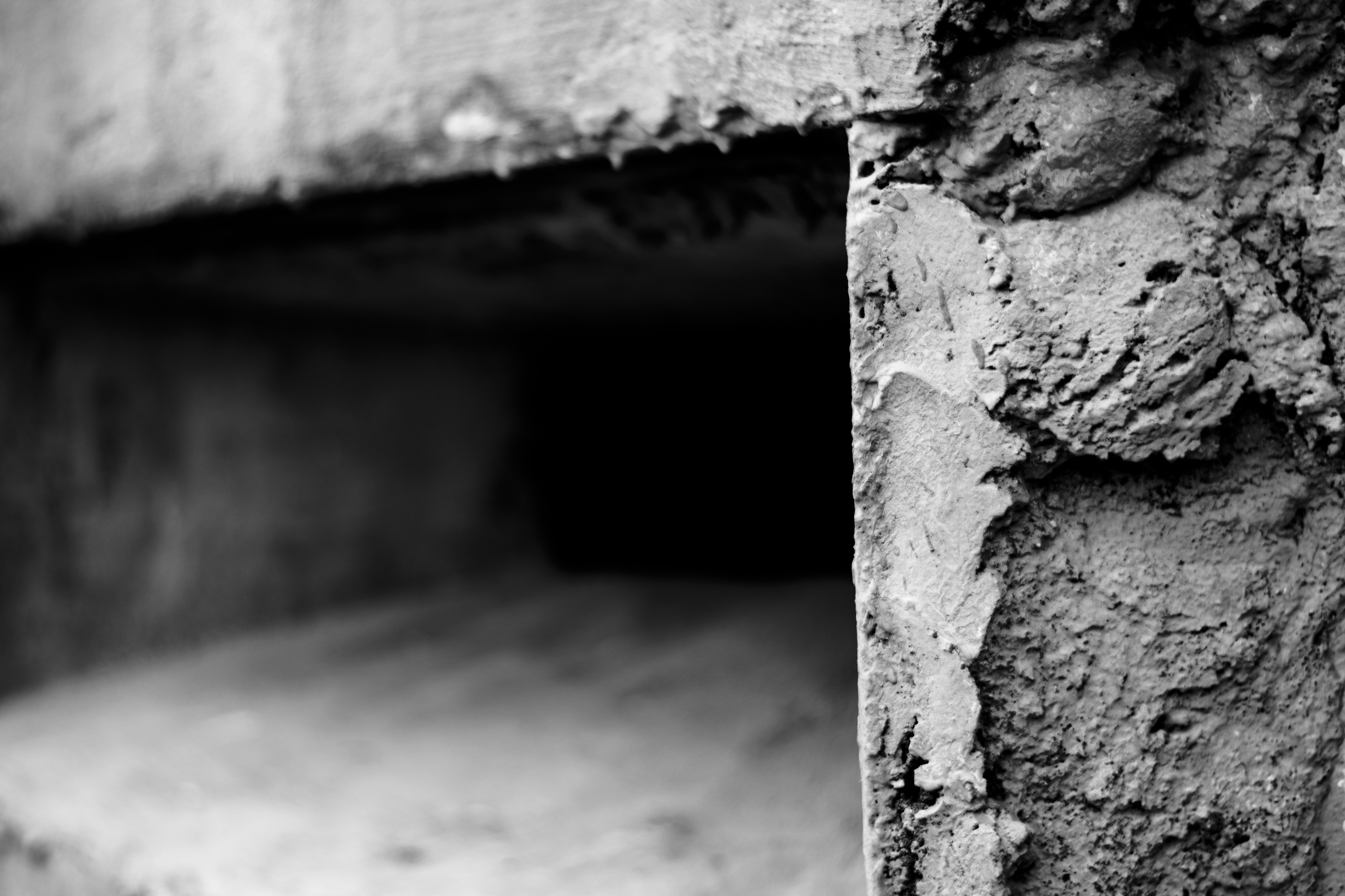 Photo by vadutskevich