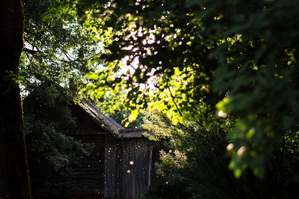 a wooden fence with trees in the background